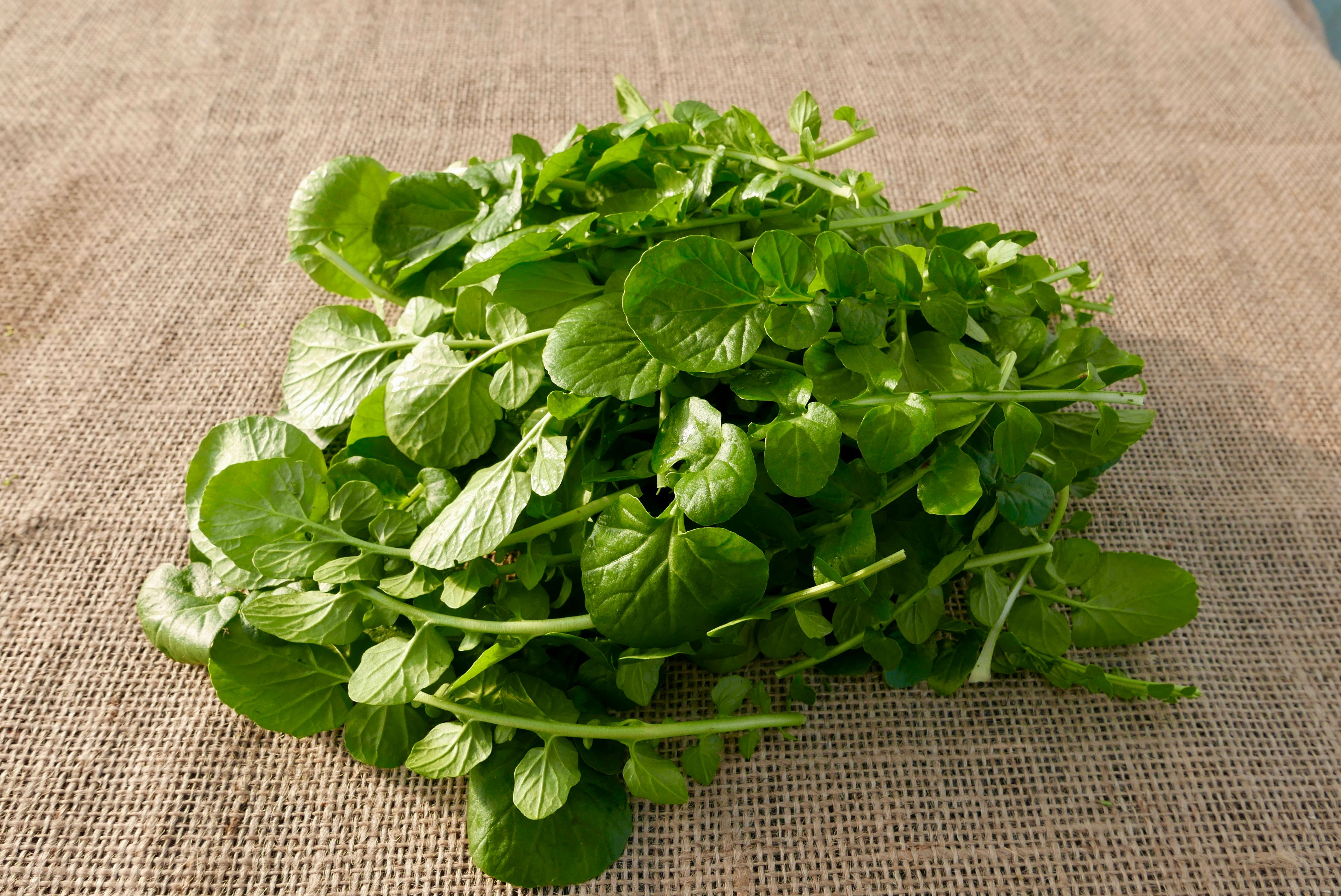 Watercress