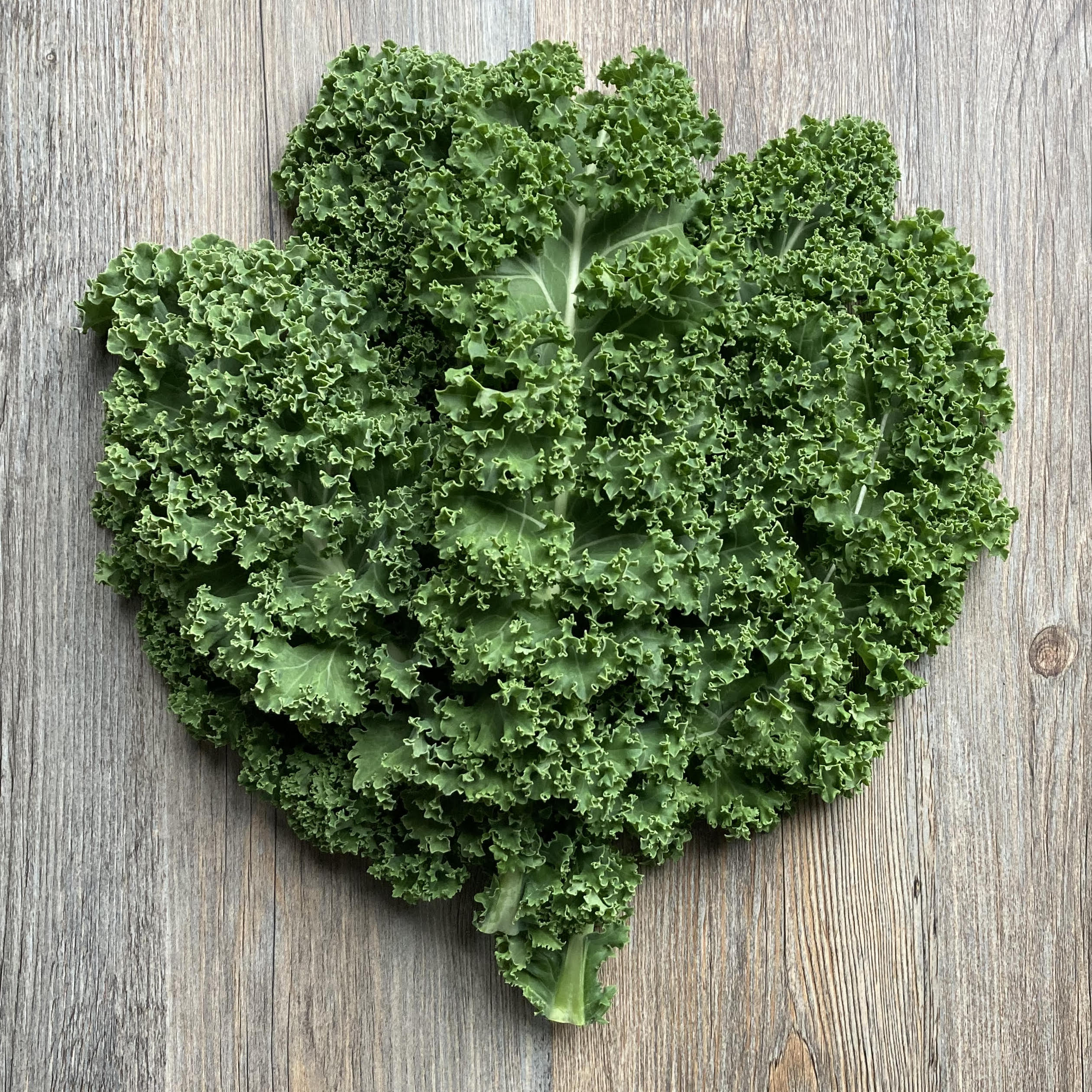 Kale - Curly (250g)