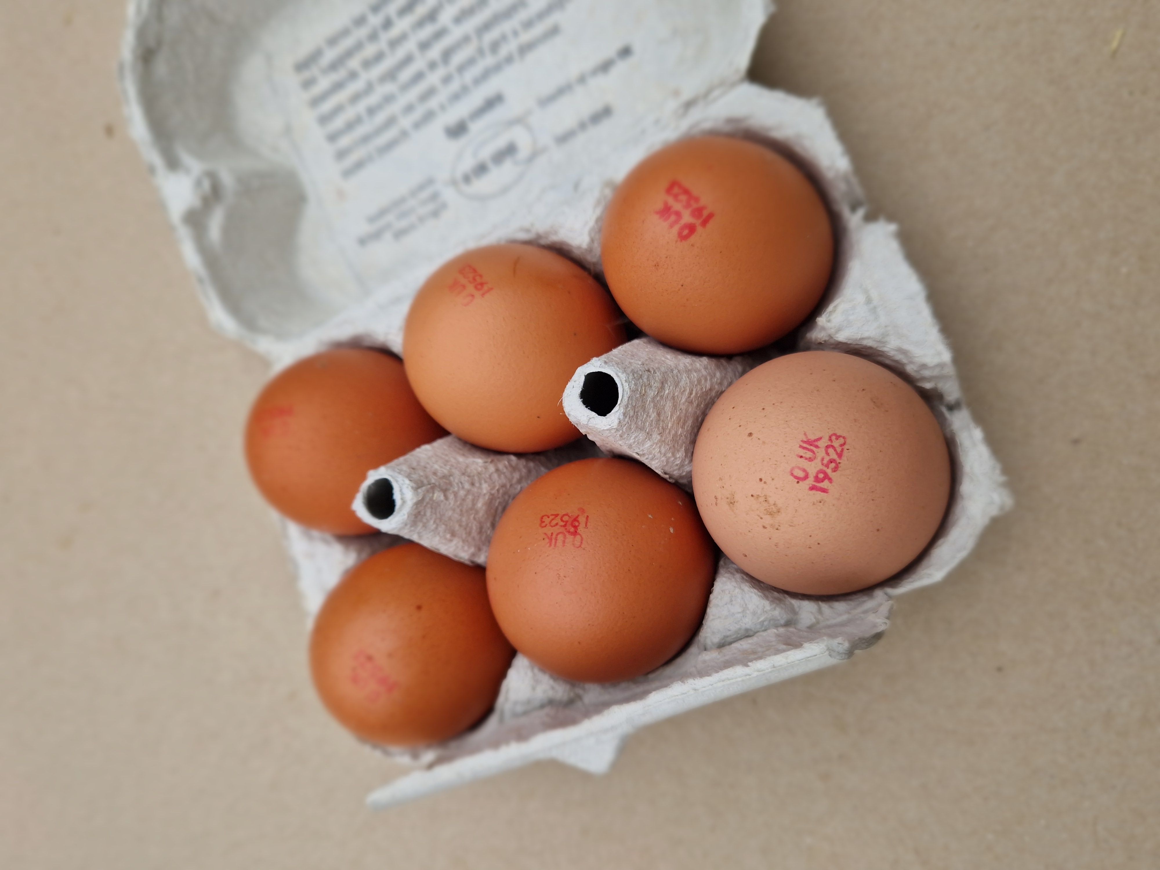 Image of Eggs