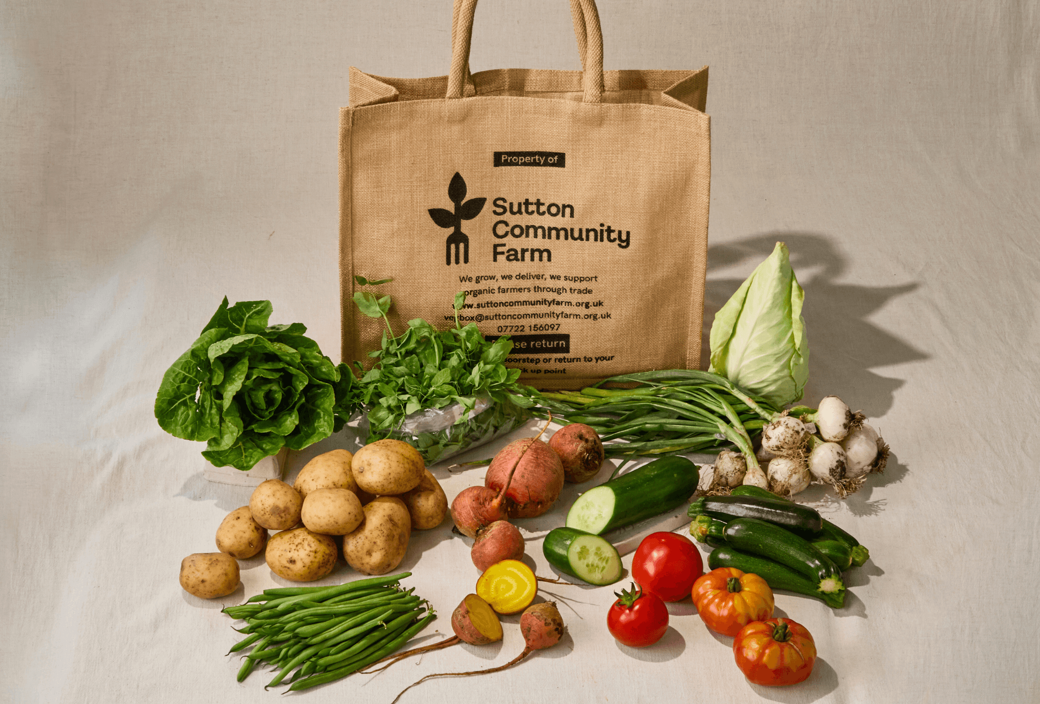 Large Veg Box