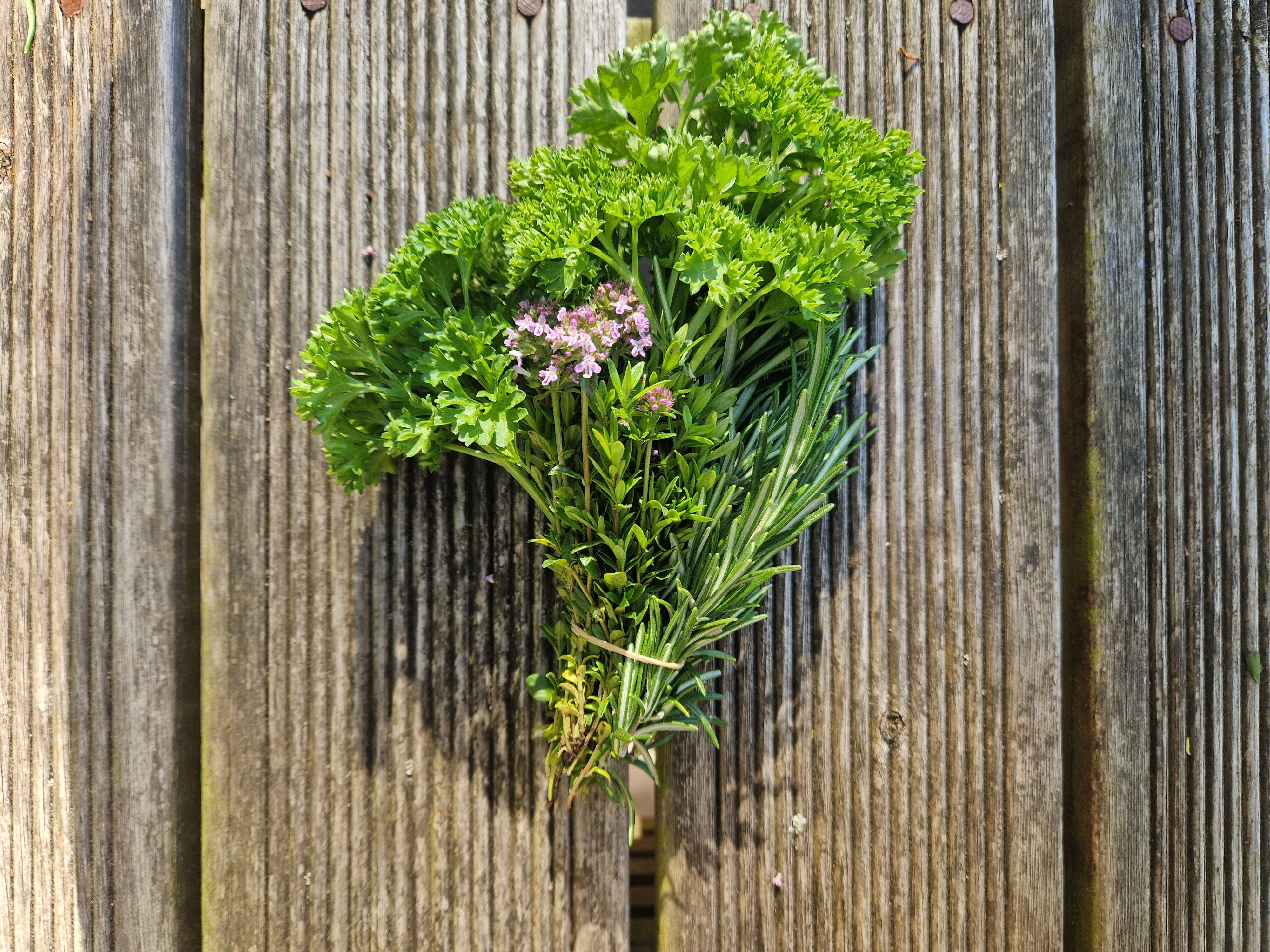 Image of Parsley, Thyme, & Rosemary
