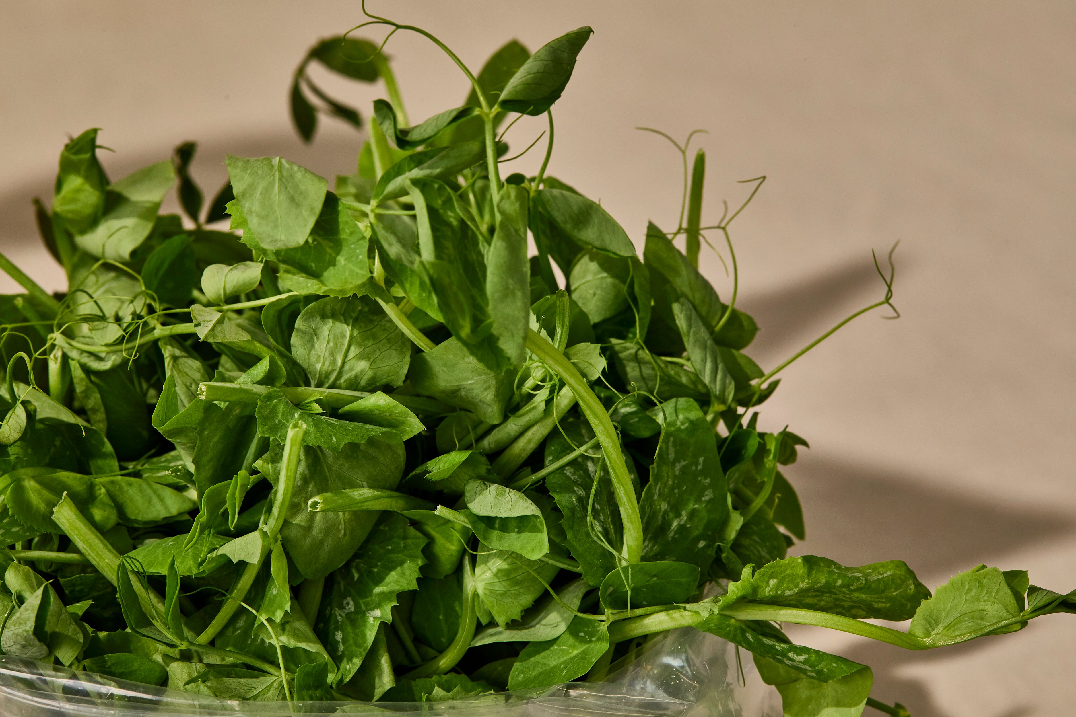 Image of Greens, Salads and Herbs