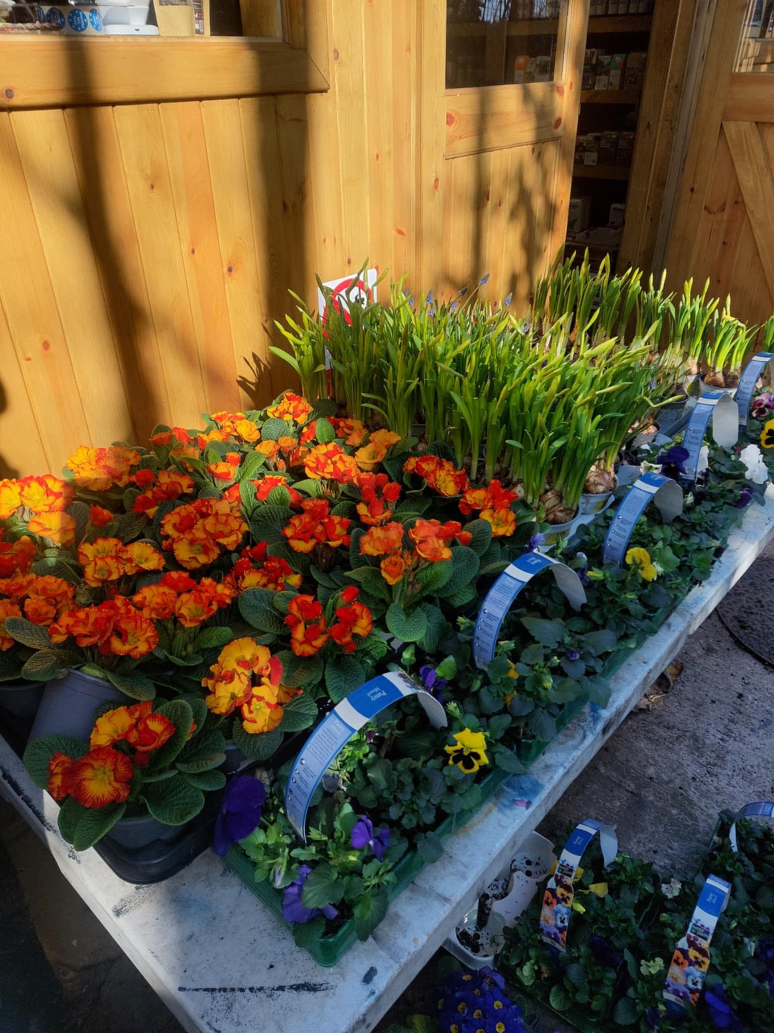 Image of Garden Supplies