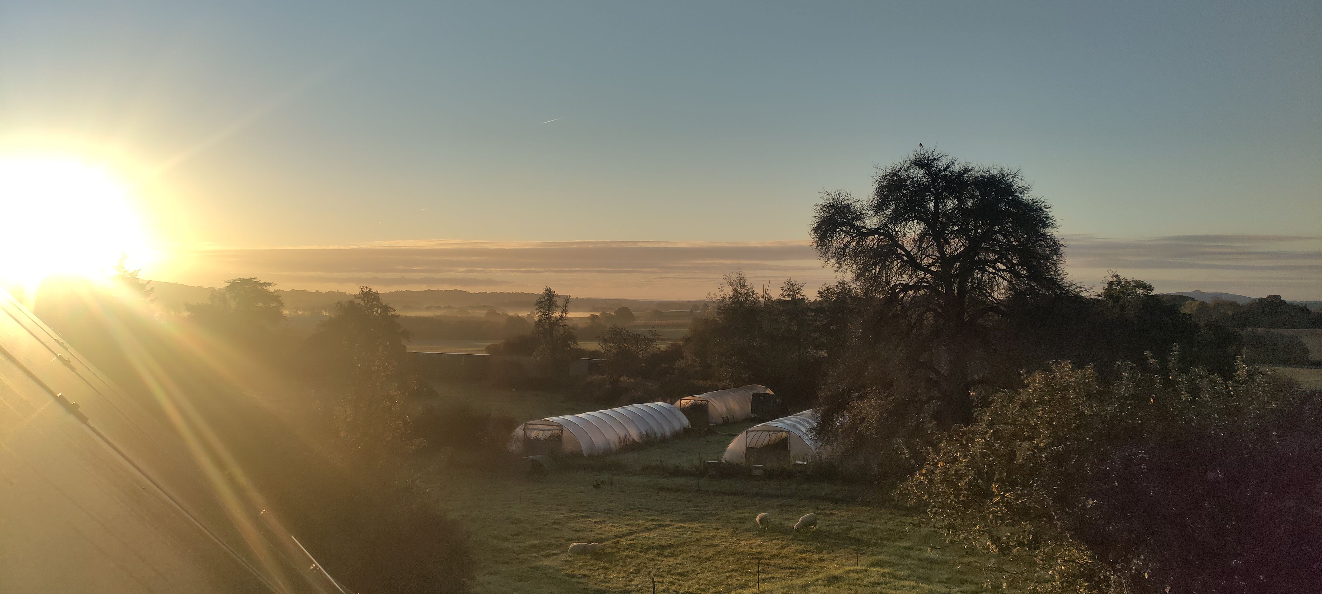 Image of About the farm.