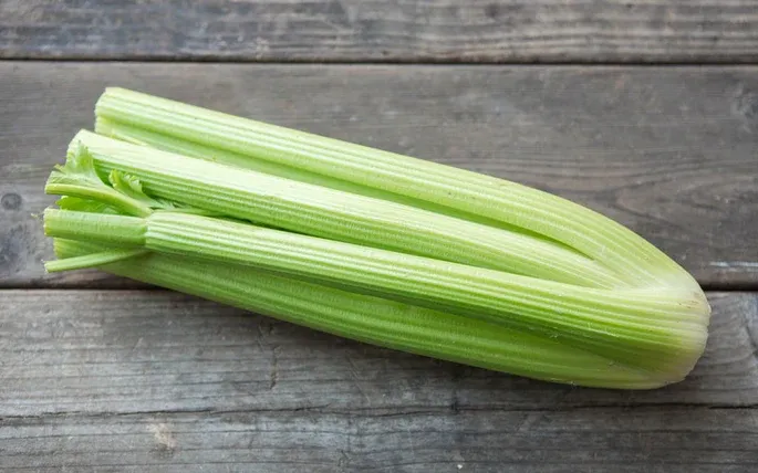 Celery