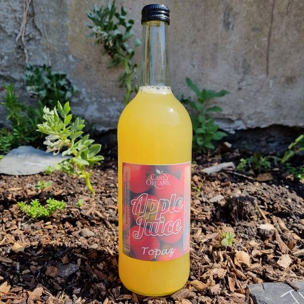 Image of Apple Juice / Sudd Afal