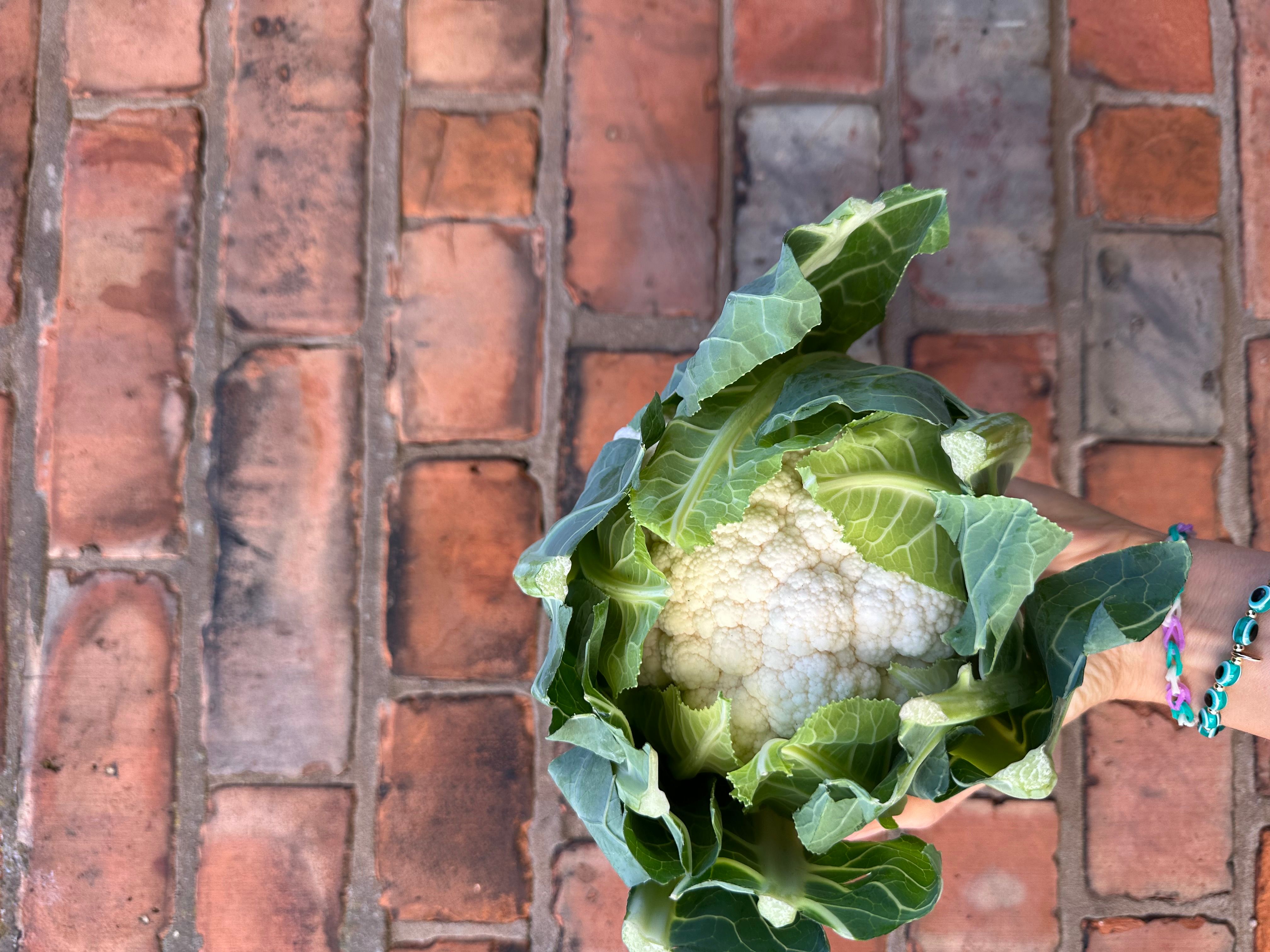 Image of Cauliflower