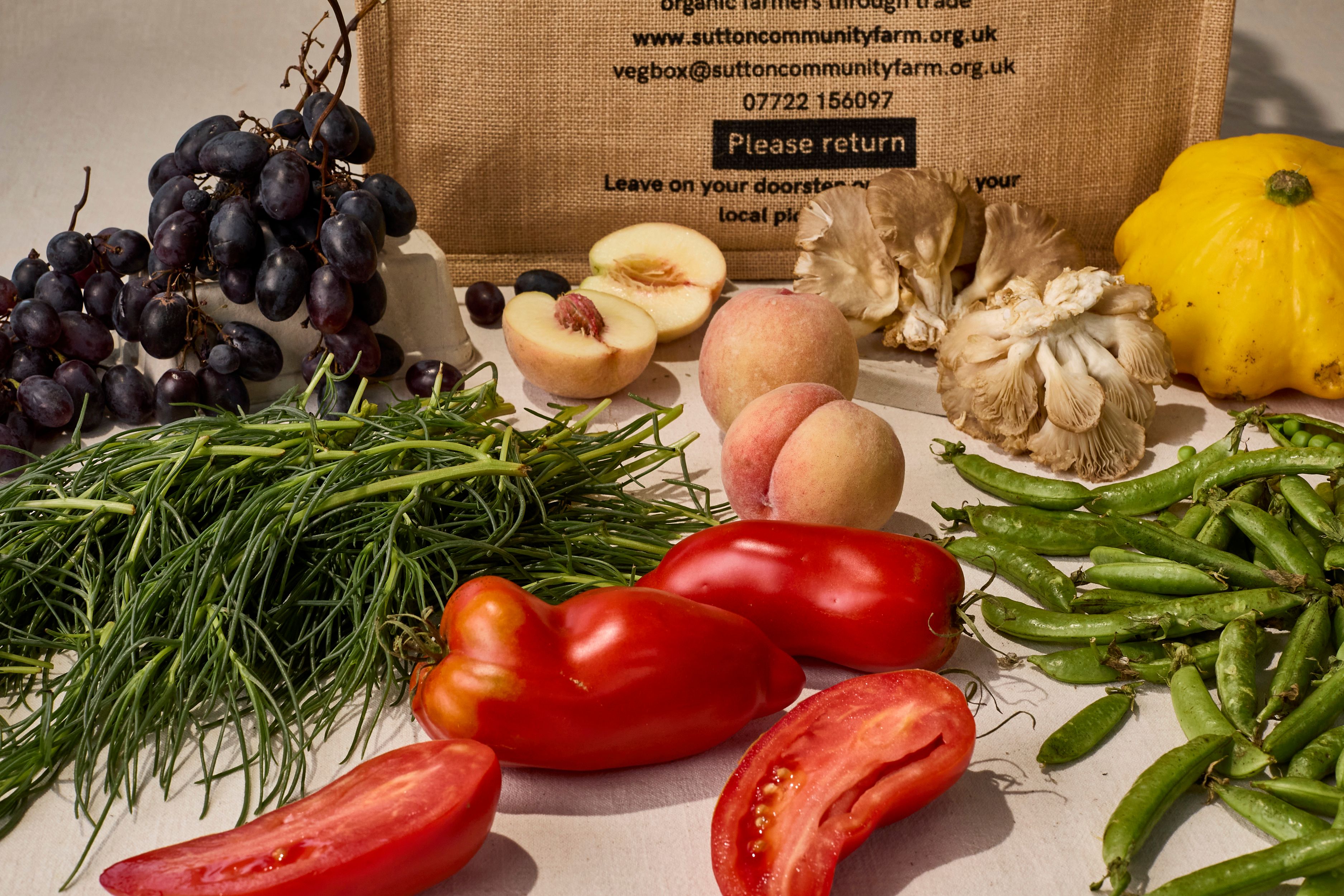 Image of Foodie Box