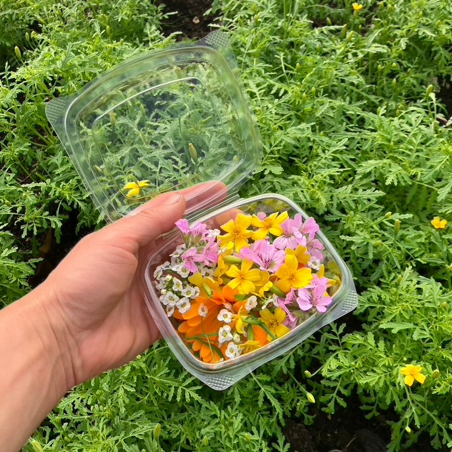 Seasonal Edible Flowers