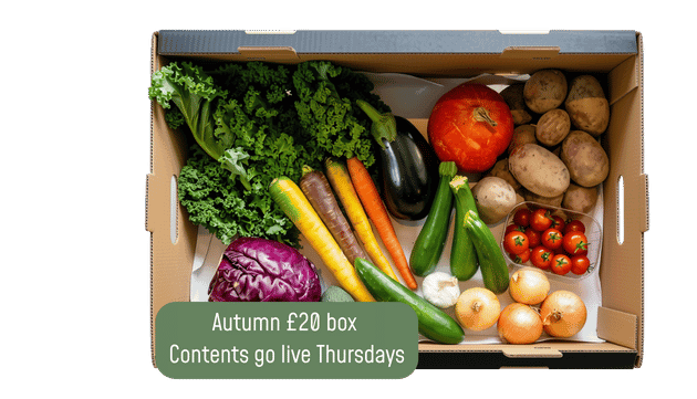 Image of Large Veg Box