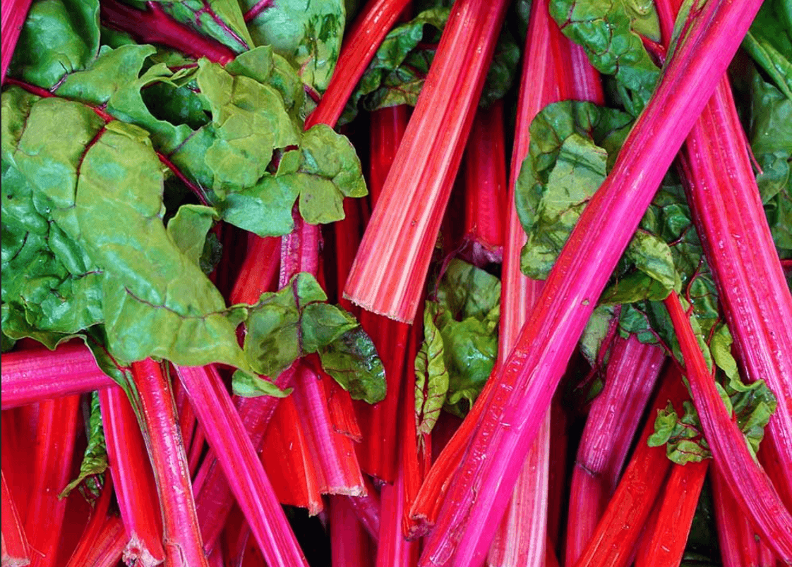 Chard [Rhubarb]
