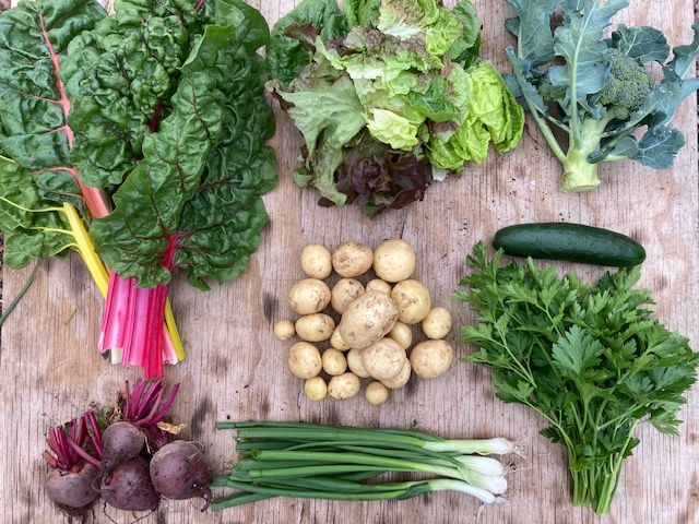 Image of Christmas Veg