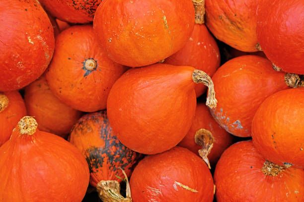 Image of Organic Onion Squash