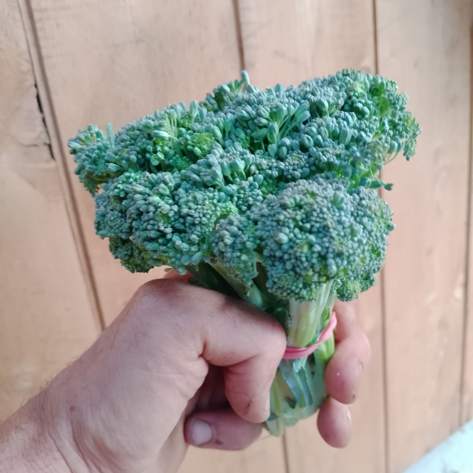 Broccoli bunch, 200g