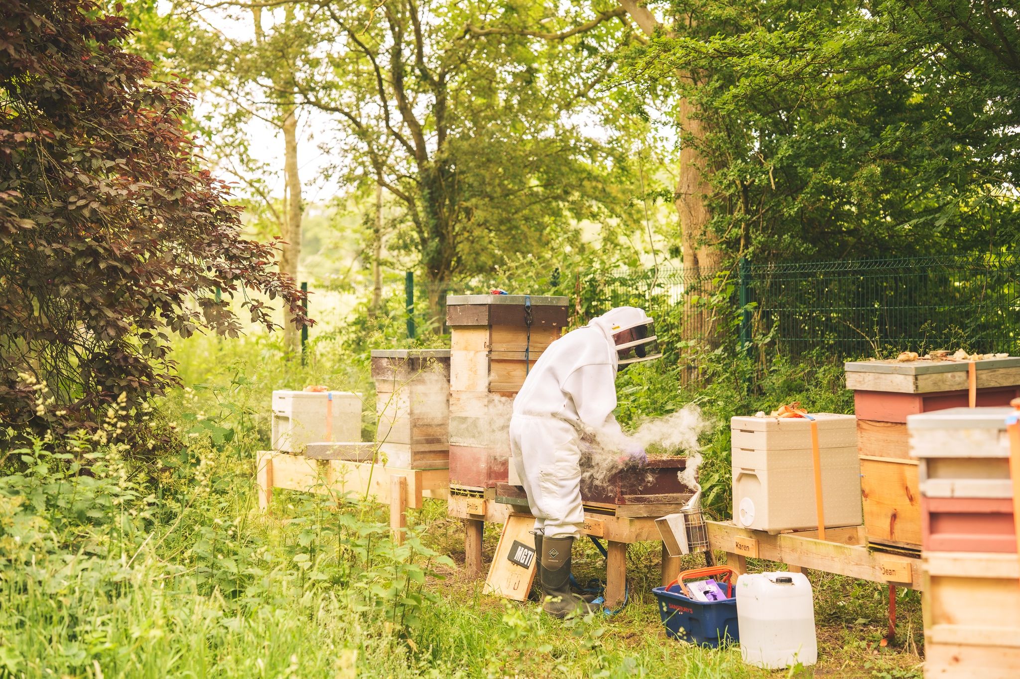 Image of Wild Farm market garden shop