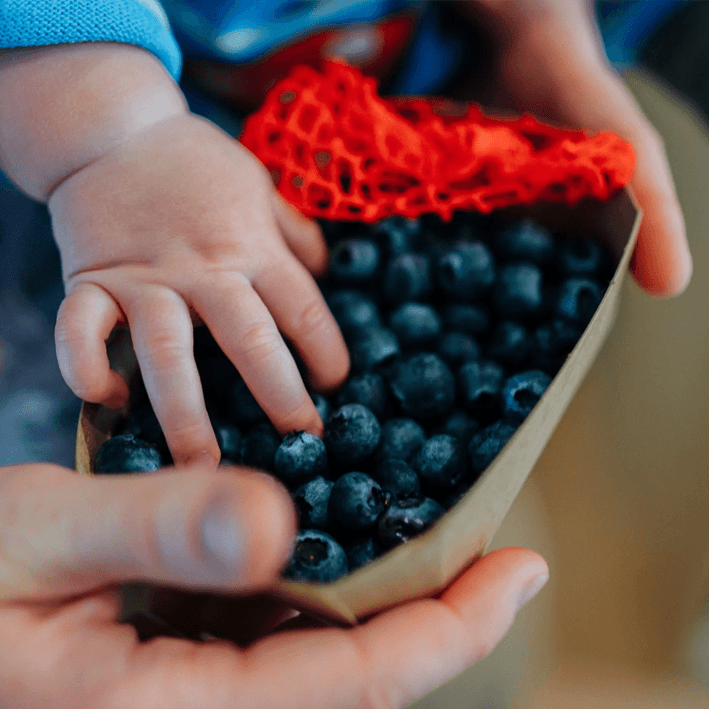 Fresh Organic Fruit Box