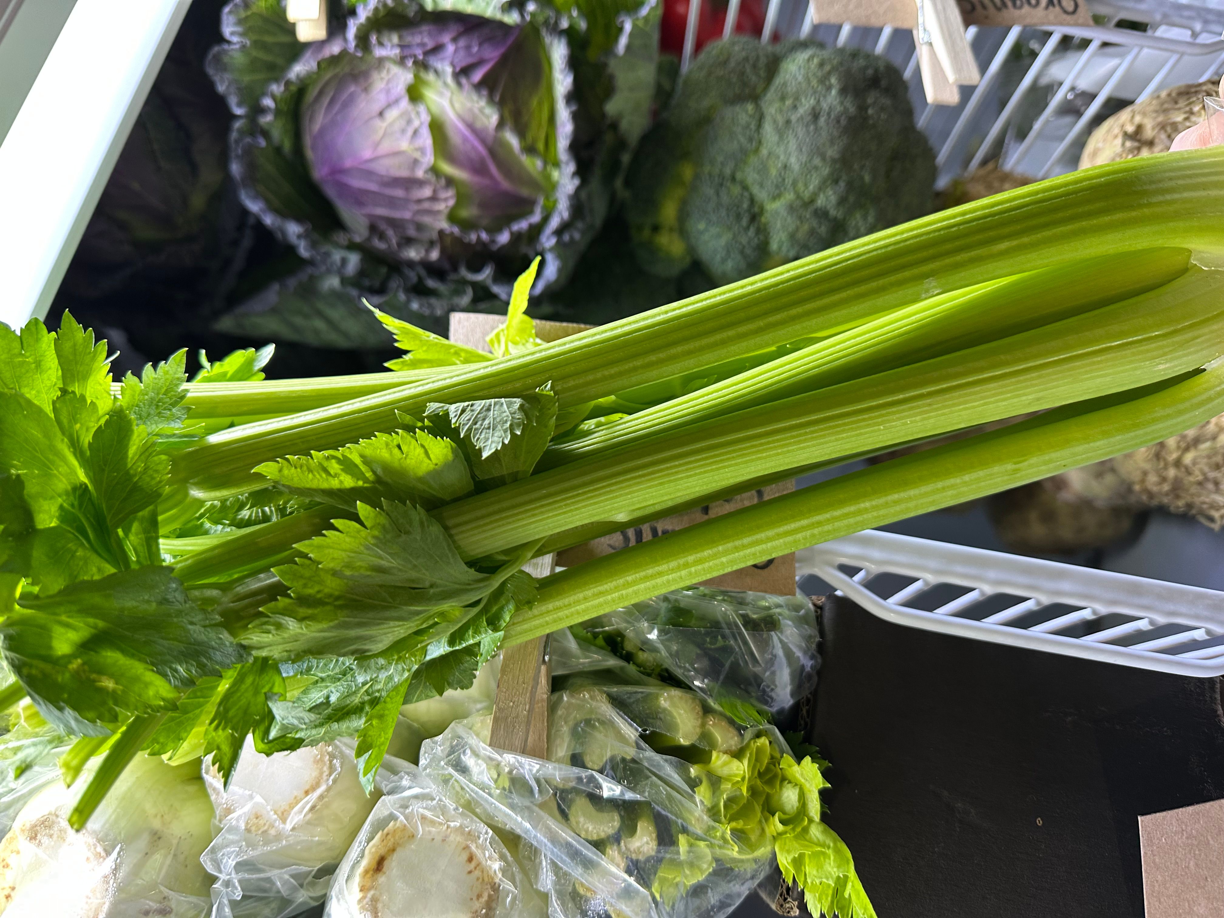 Image of Celery