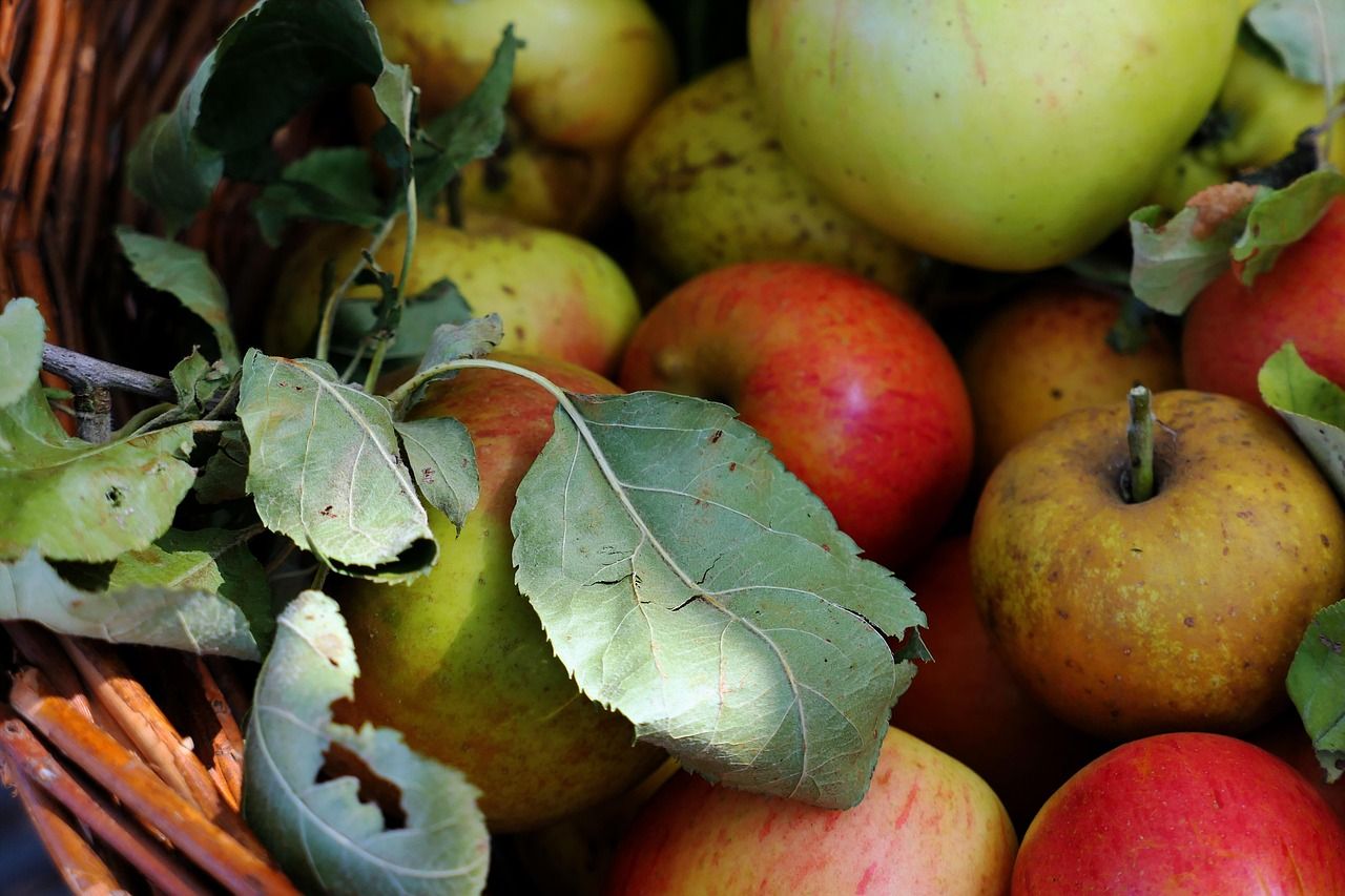 Image of Apple Juice