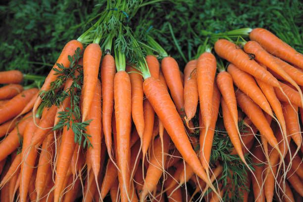 Organic Carrots