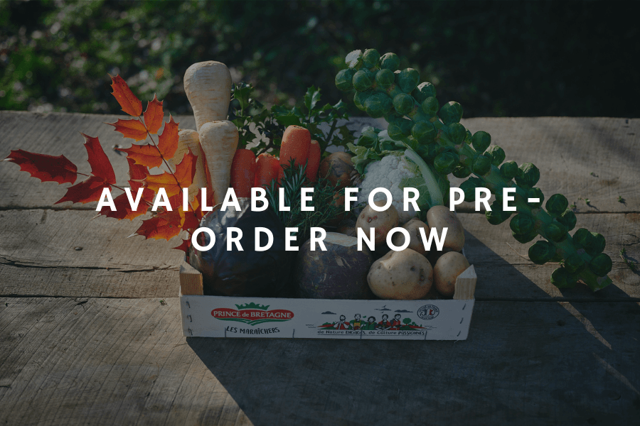 Classic Small Christmas Box