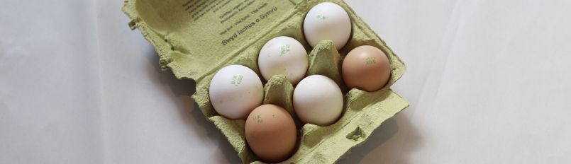 Image of Organic Free-Range Eggs