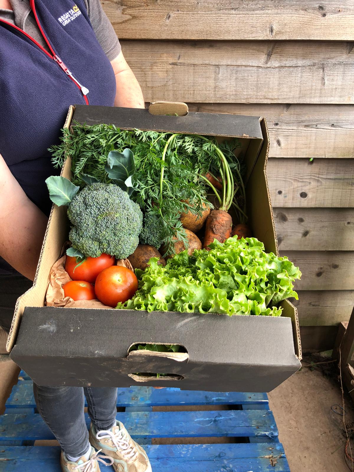 Small Veg box