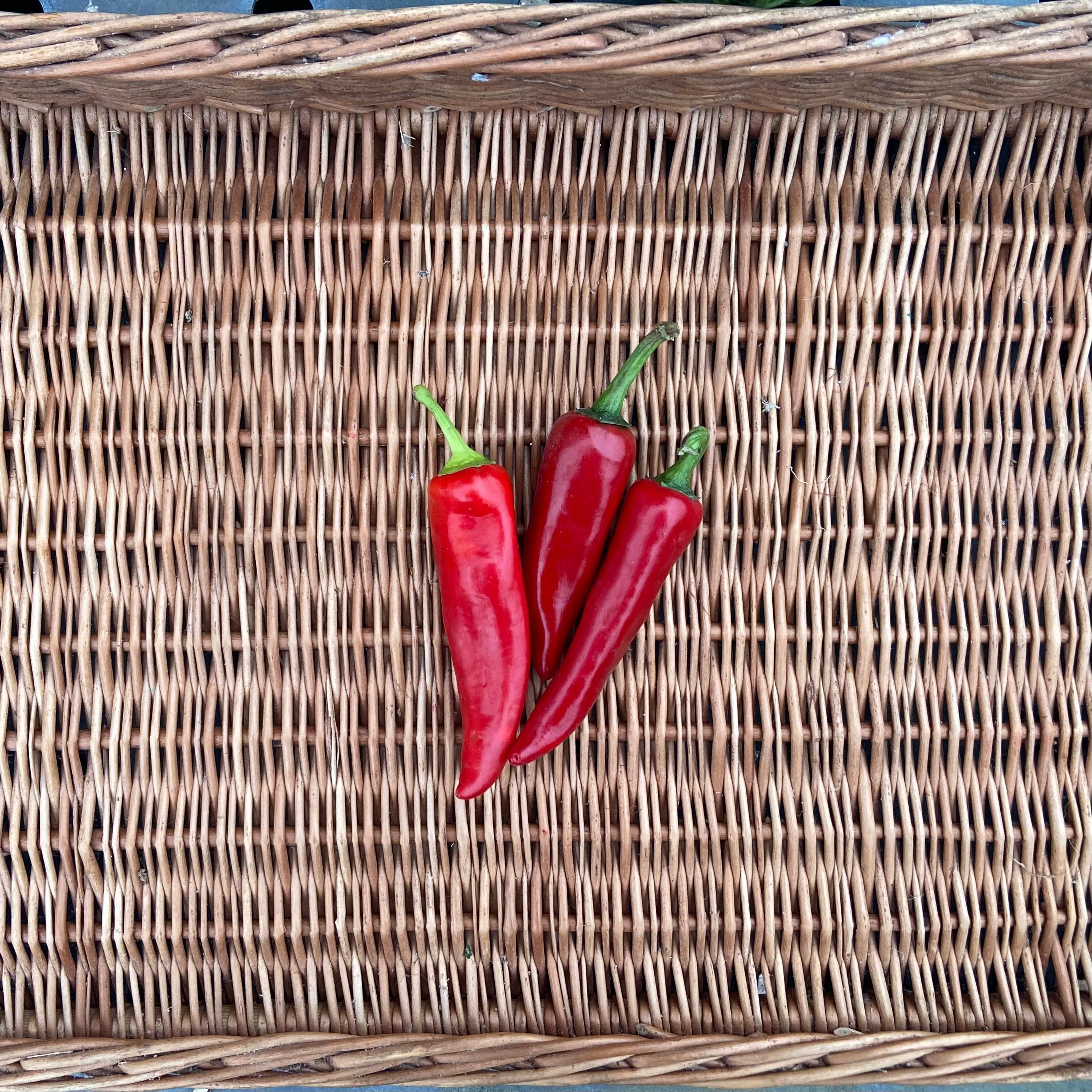 Image of Mild Chilli 