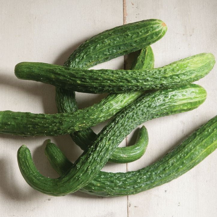 Dragon Suyo Cucumbers