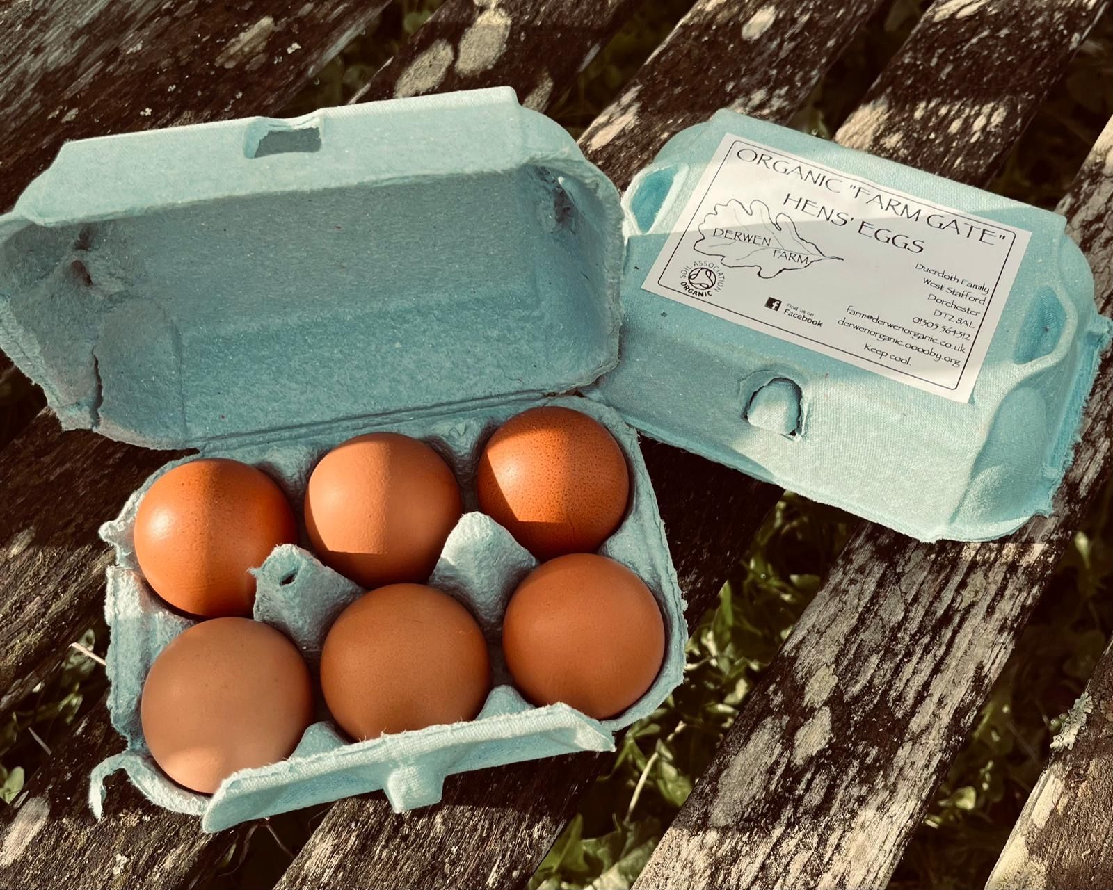 Organic Eggs