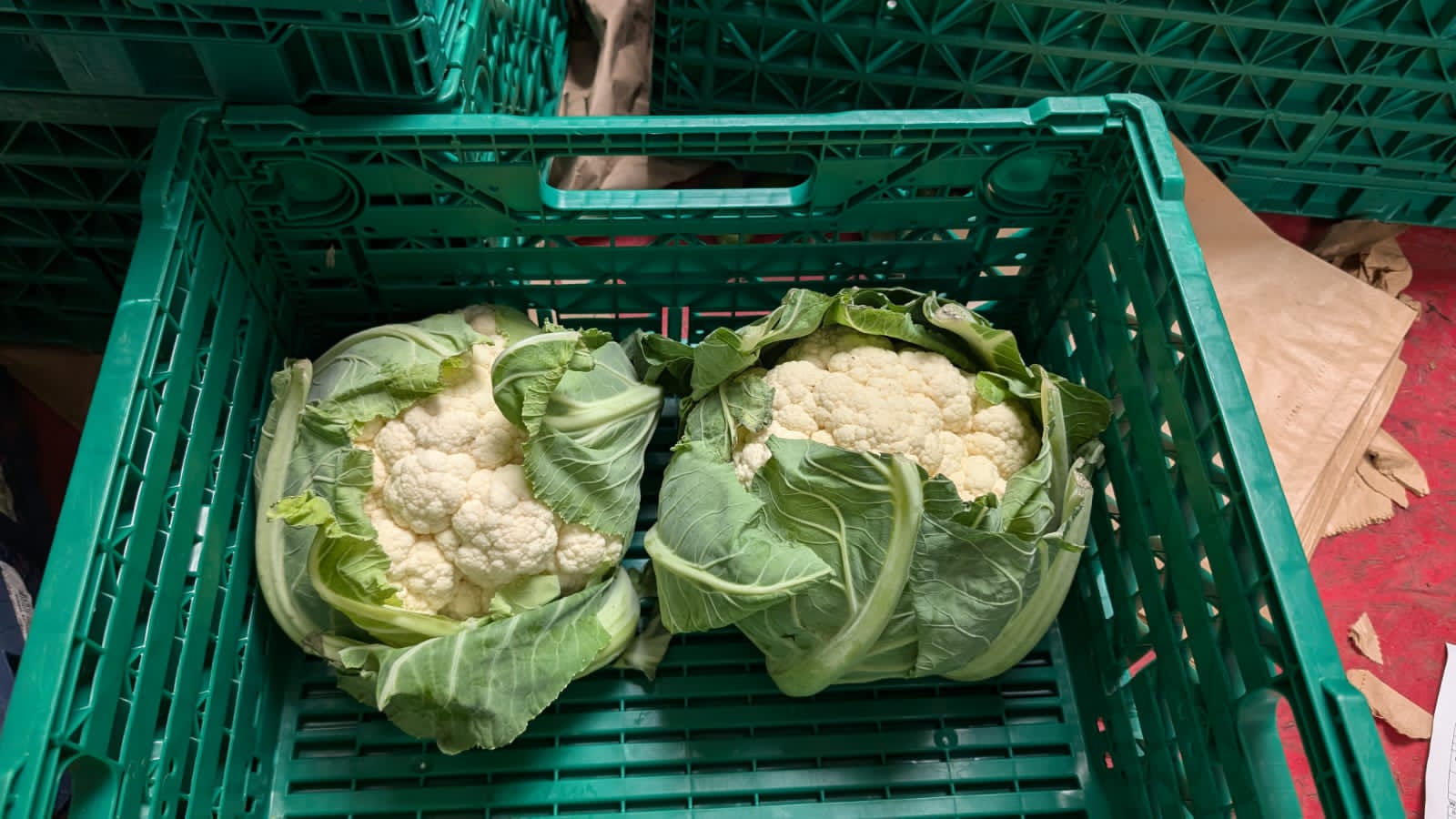 Image of Cauliflower