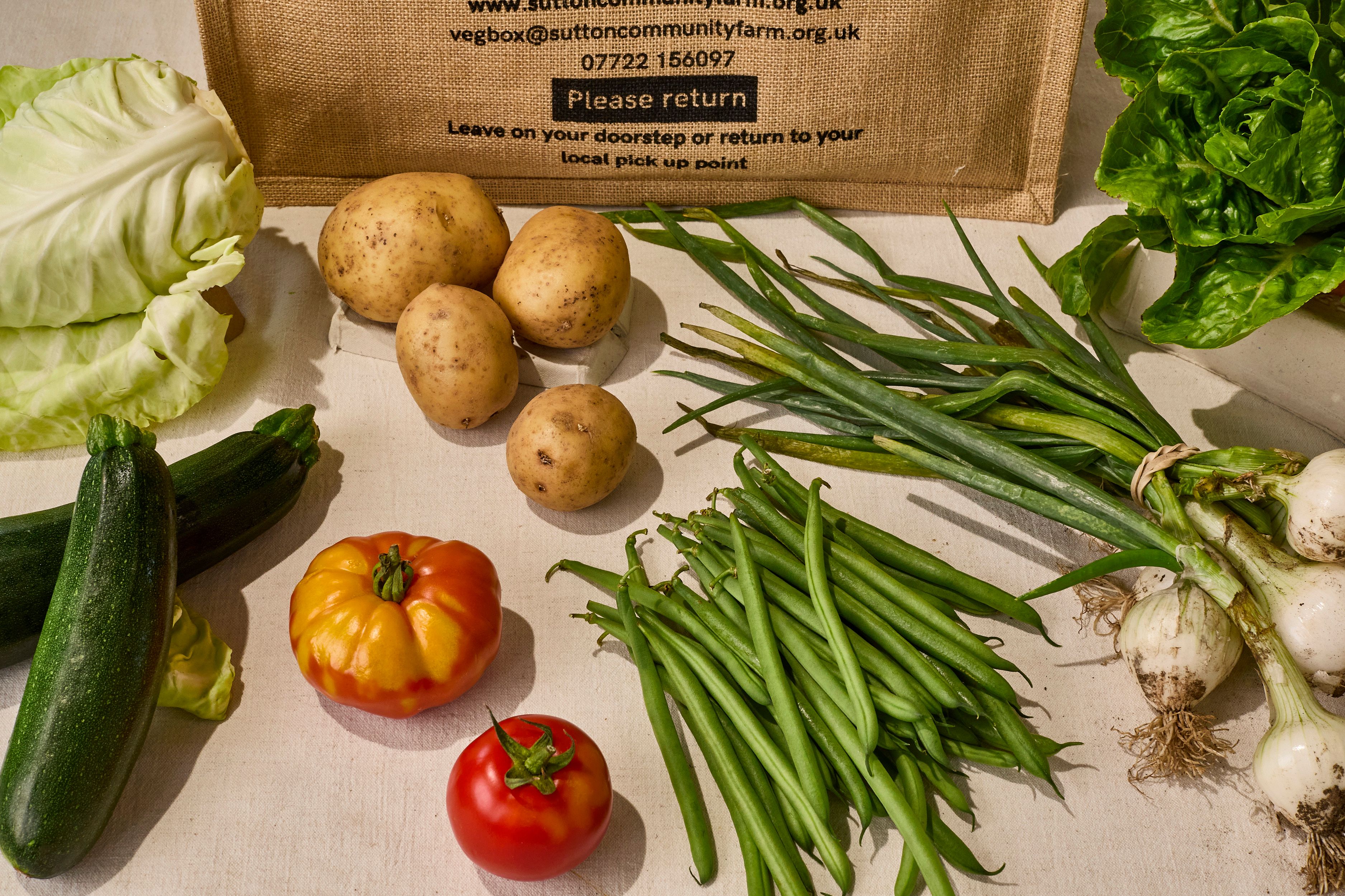 Image of Small Veg Box