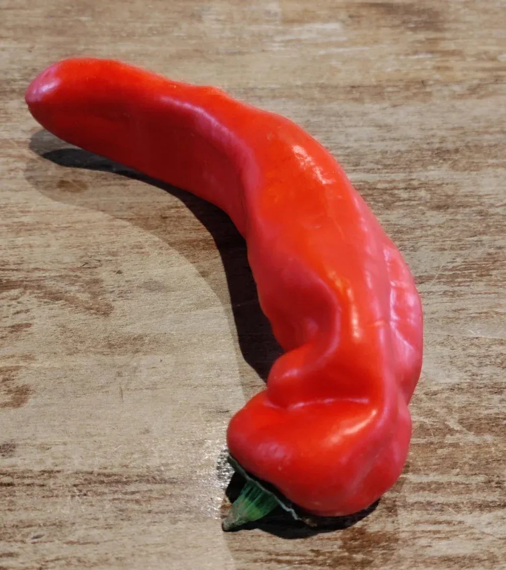 Ramiro Pepper