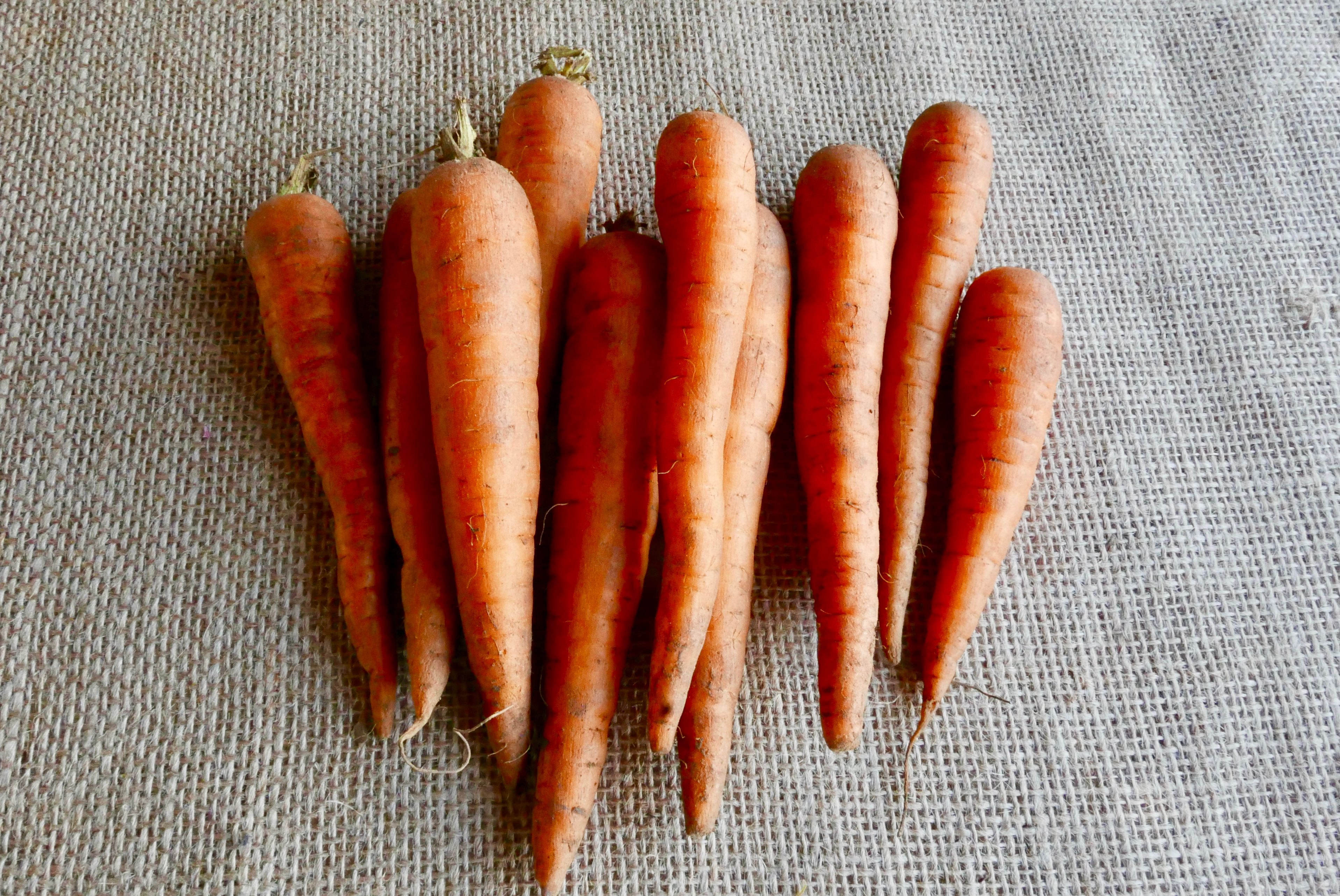 Image of Carrots