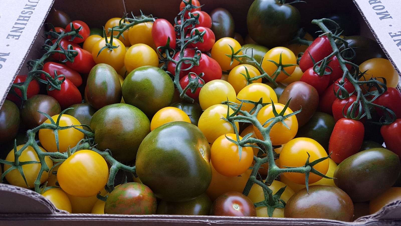 Image of Tomato Mix