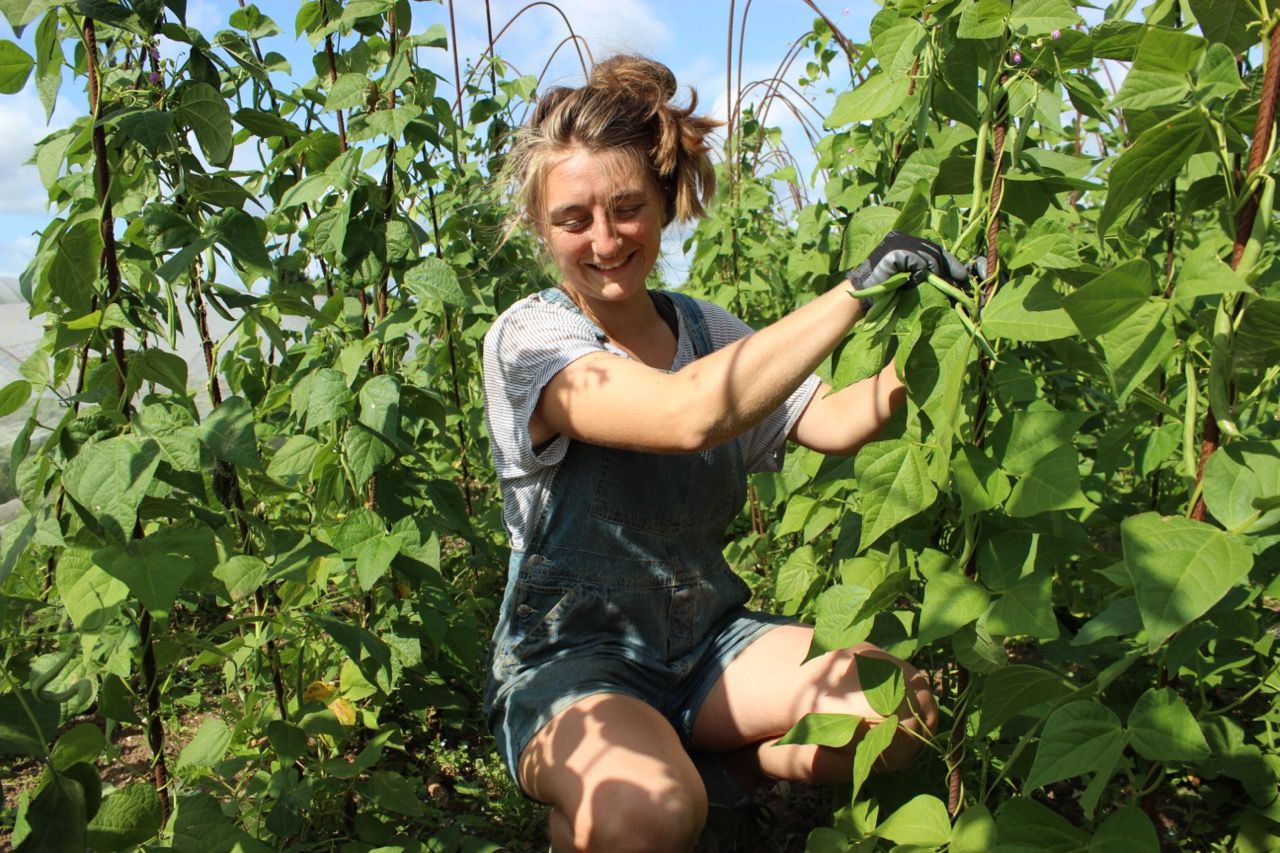 Image of Farmers for the future