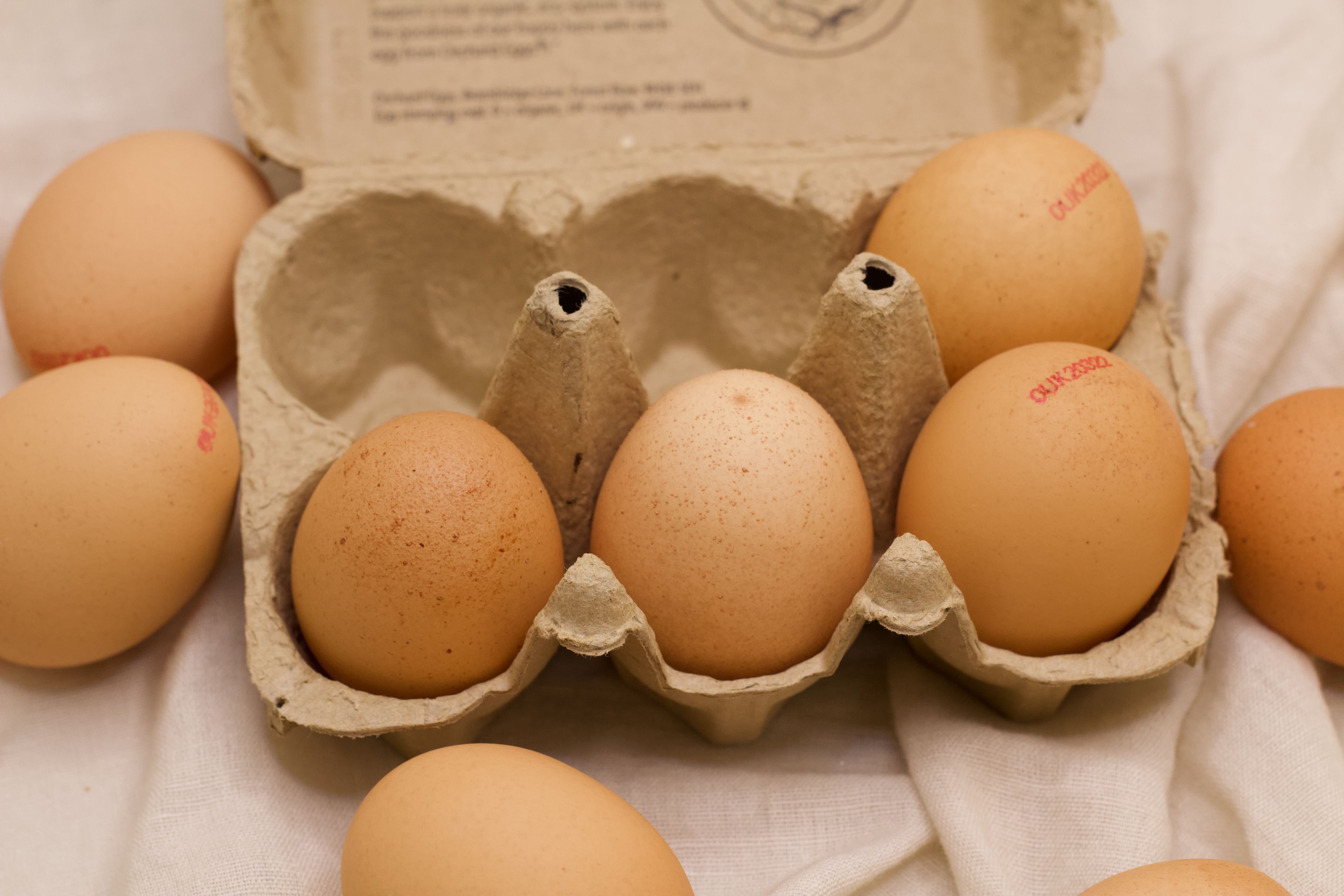 Image of Eggs