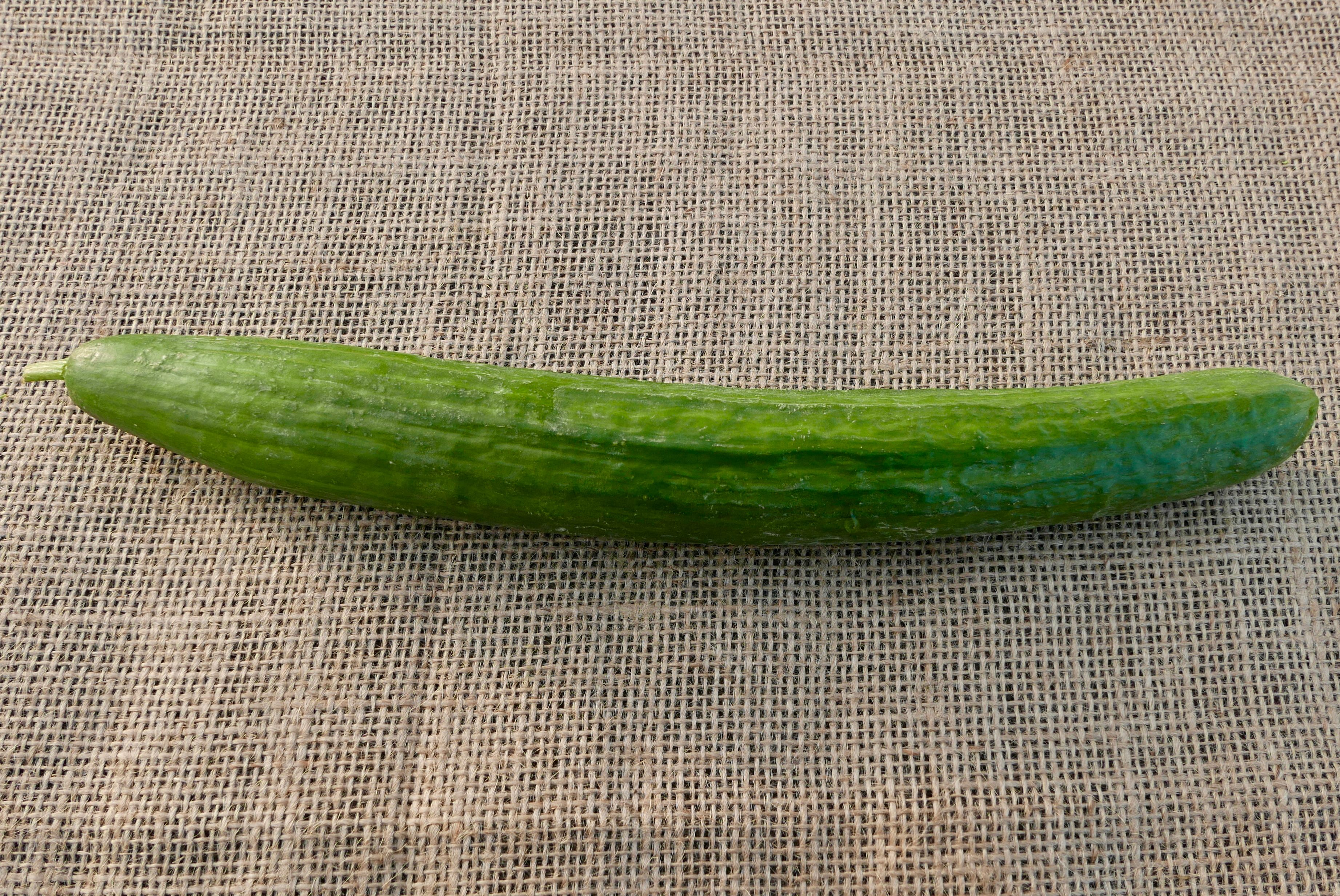 Large Cucumber