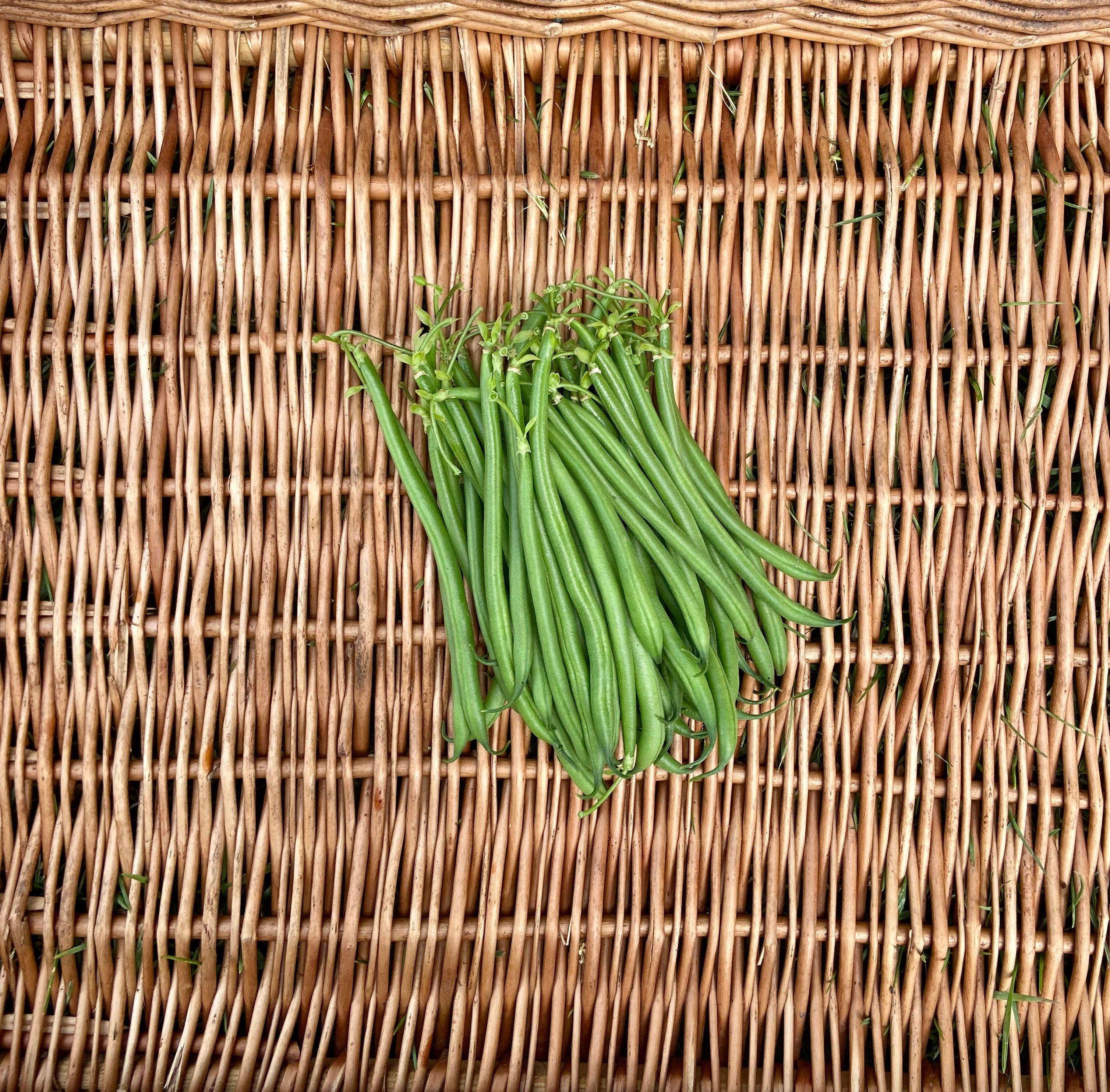 Image of French Beans