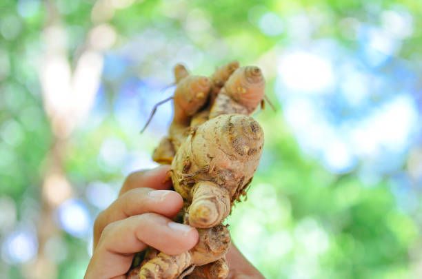 Image of Organic Ginger 115g