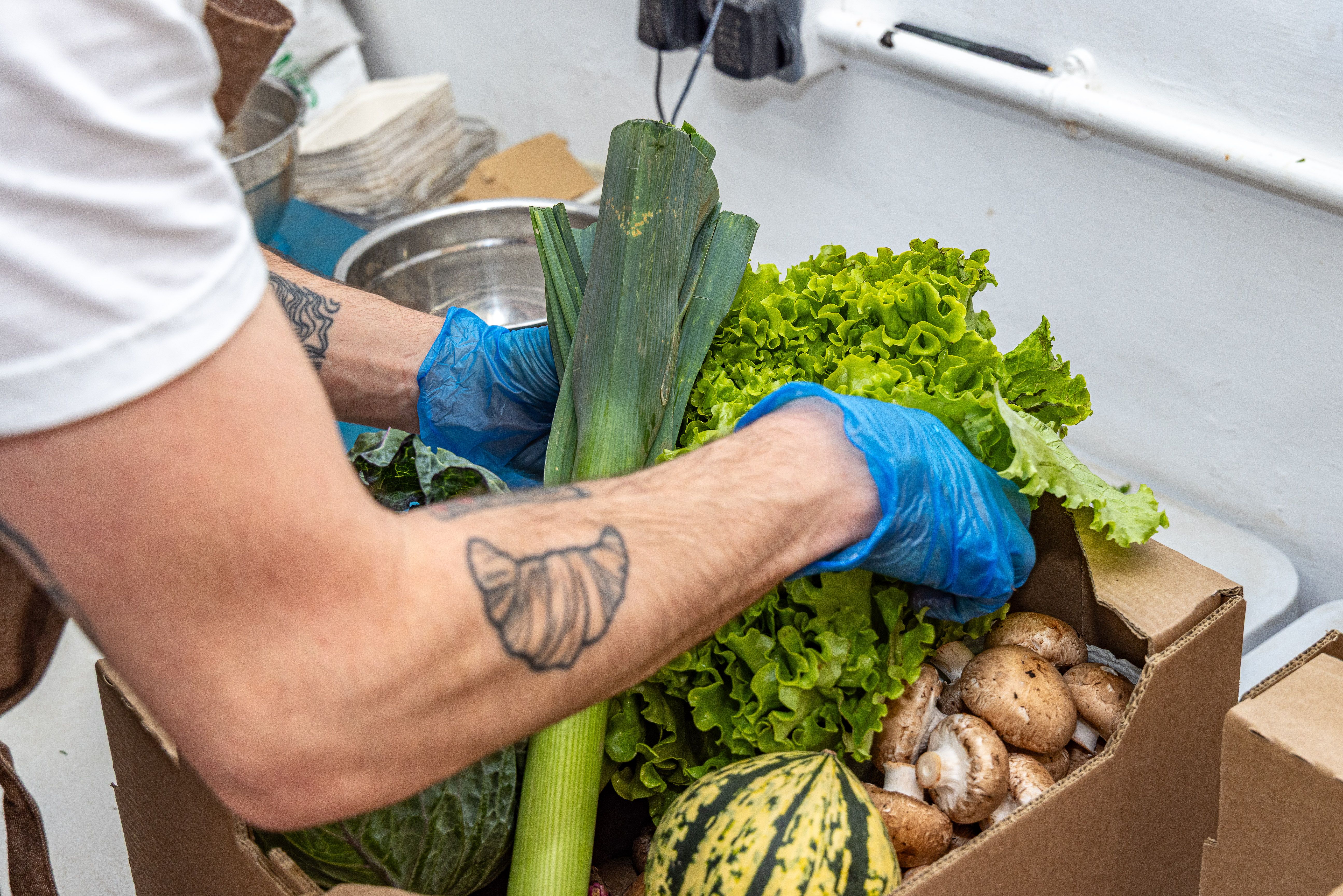 Image of Privacy Policy