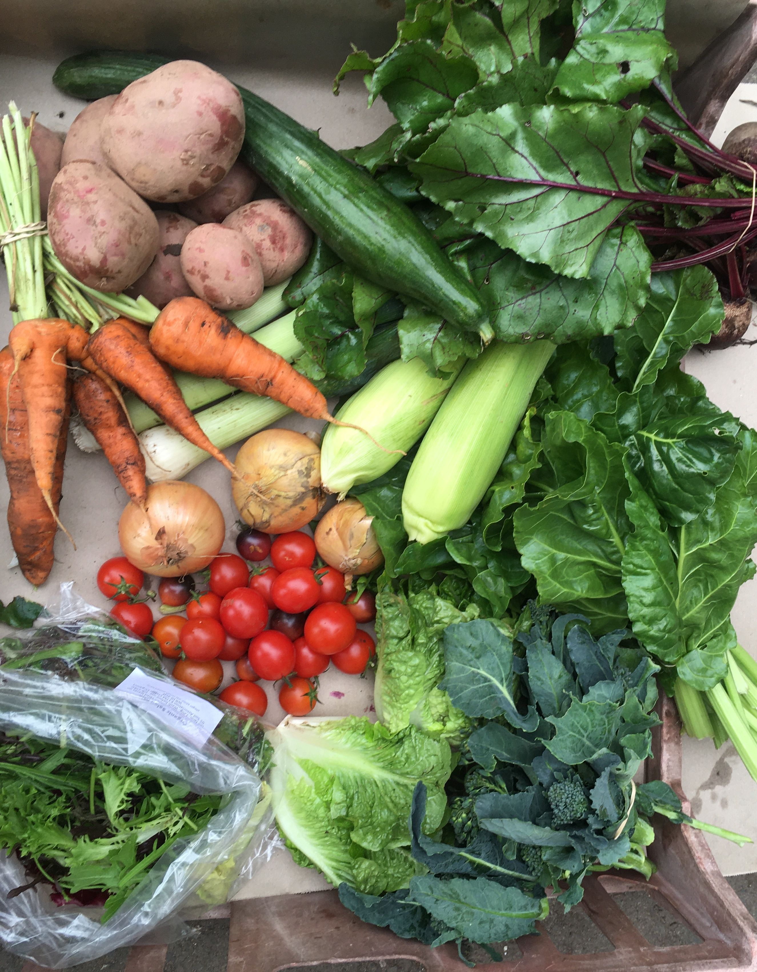 Veg Box - Large
