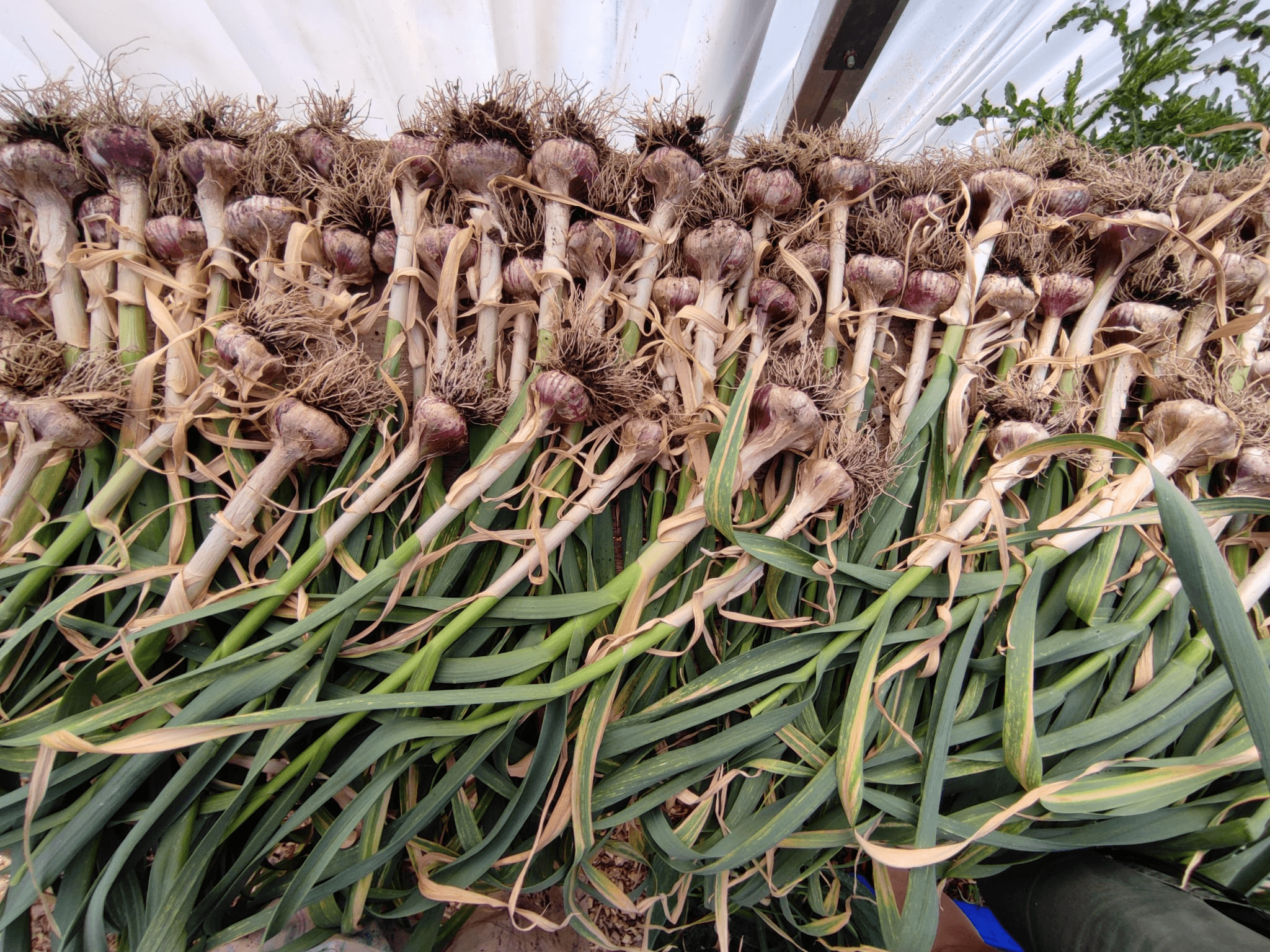 Image of Our values and team