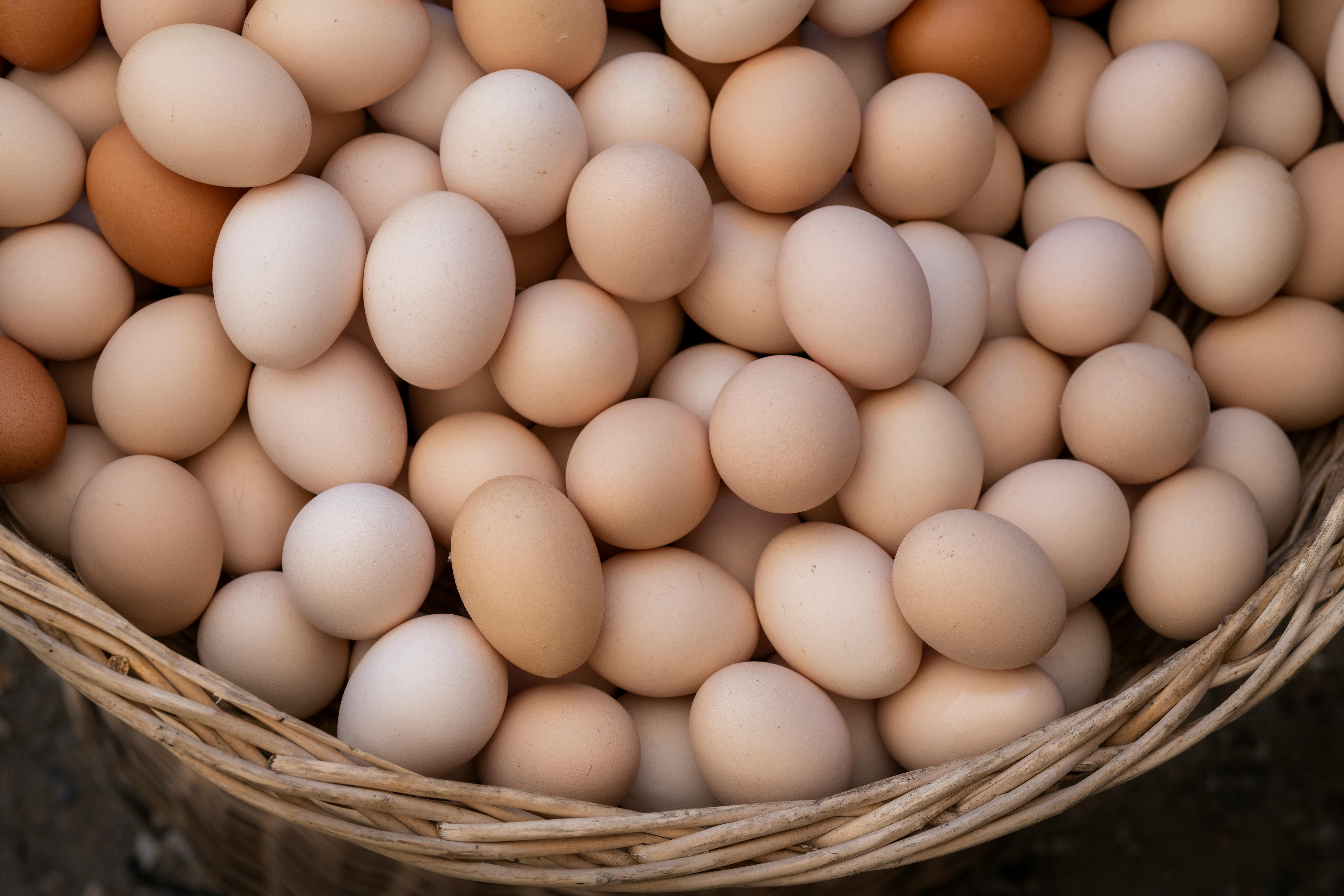 Image of Organic Eggs
