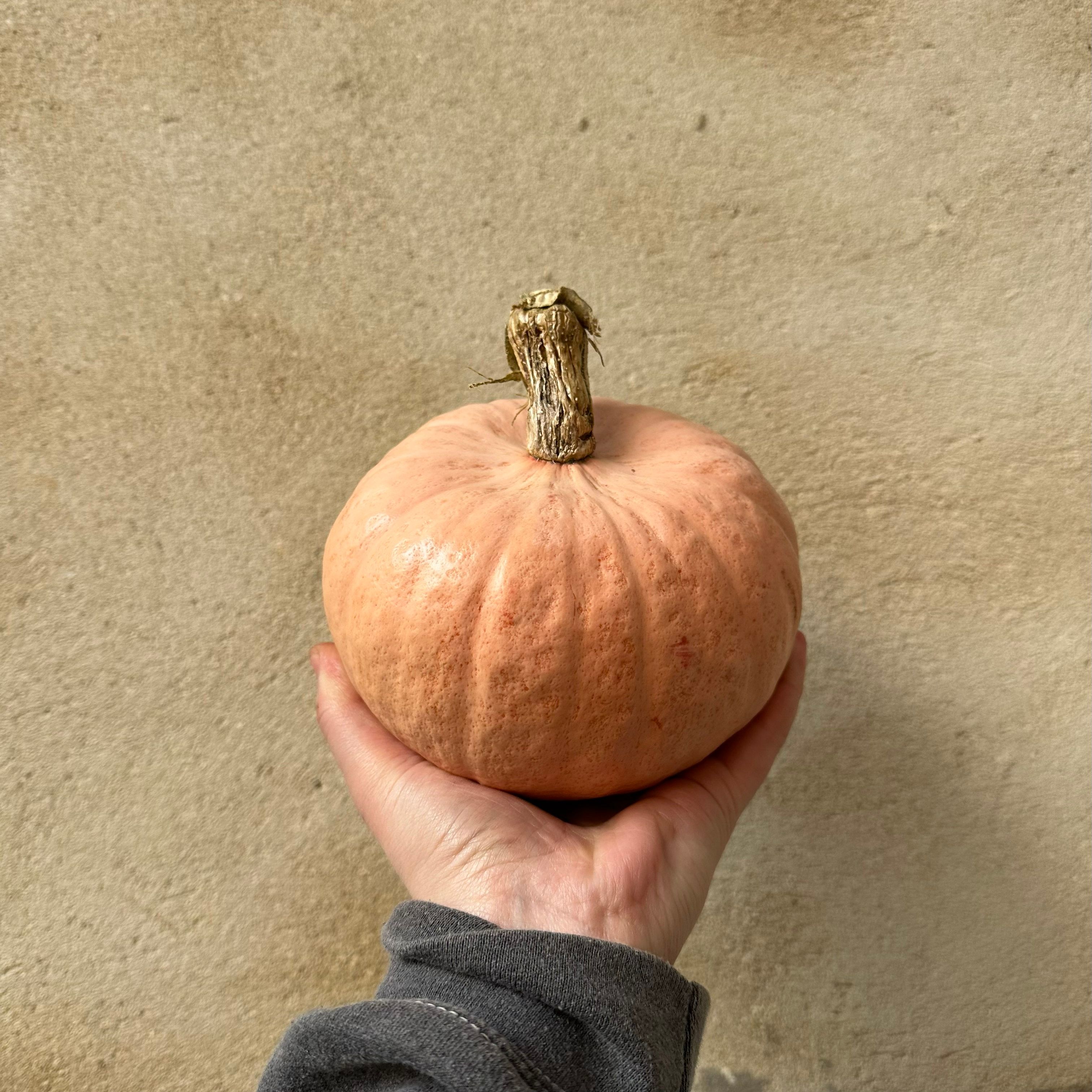 Princess Peach Squash