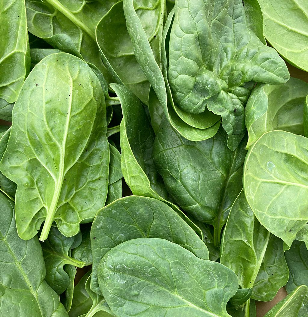 True Spinach (250g)