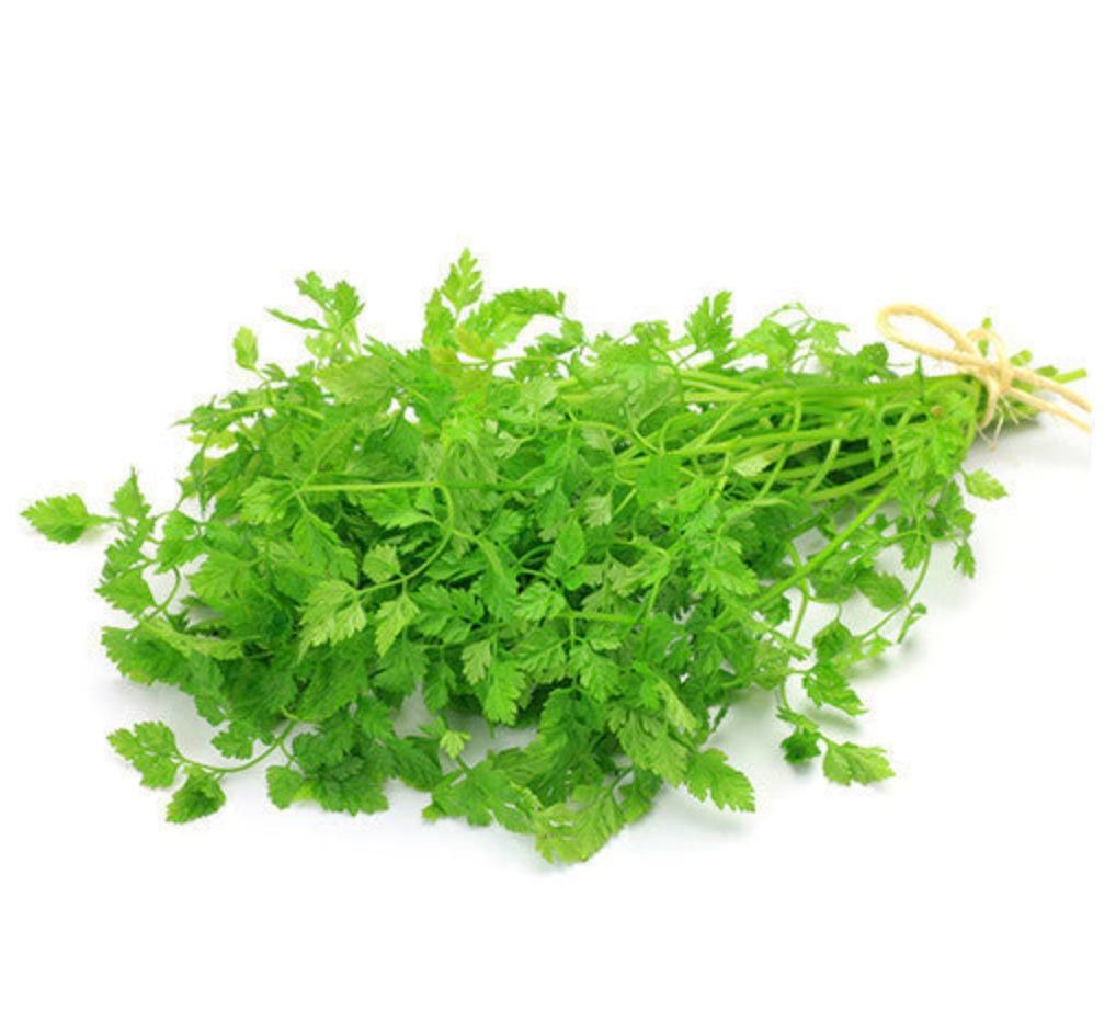 Chervil