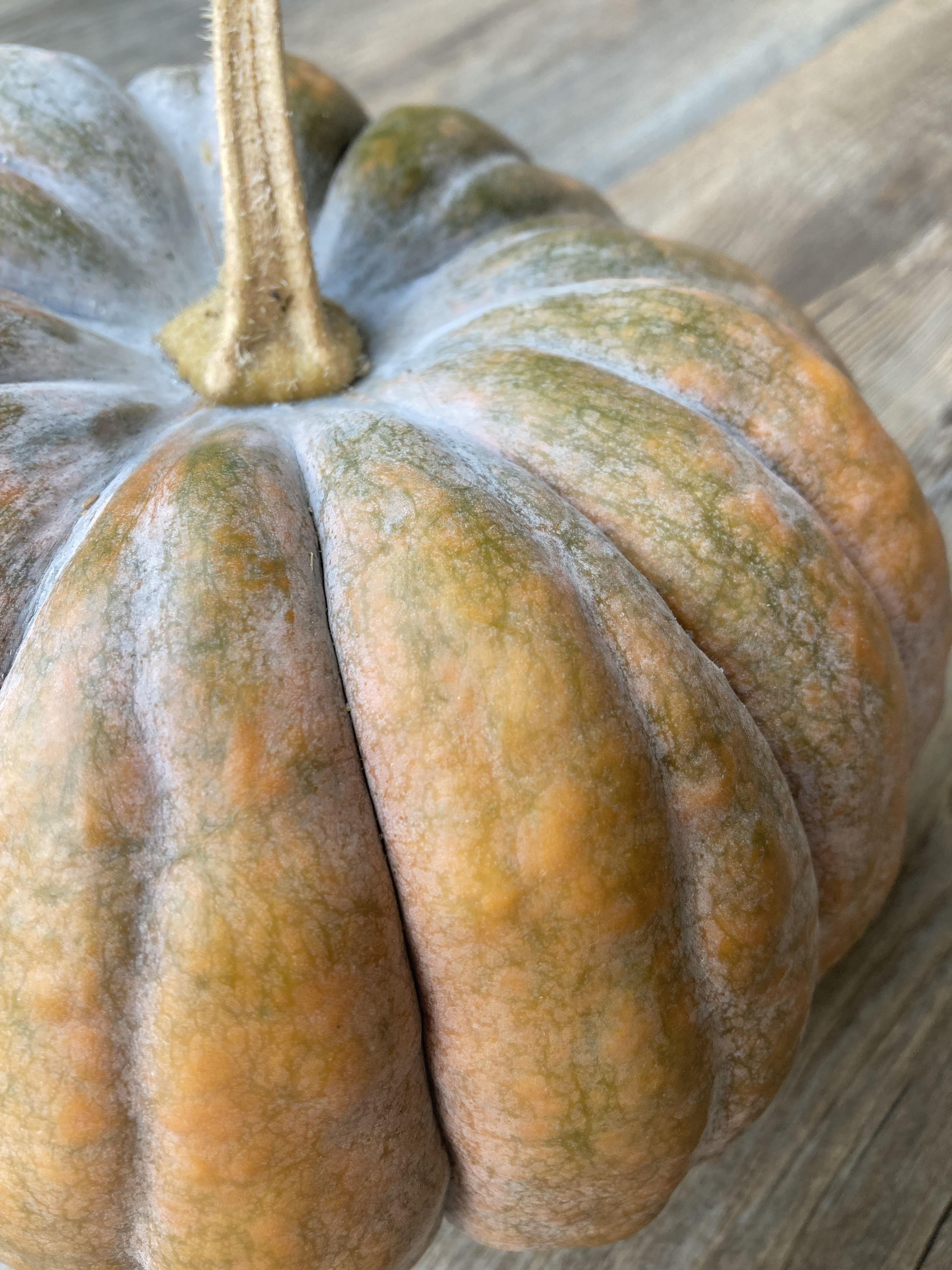Image of Futsu Squash