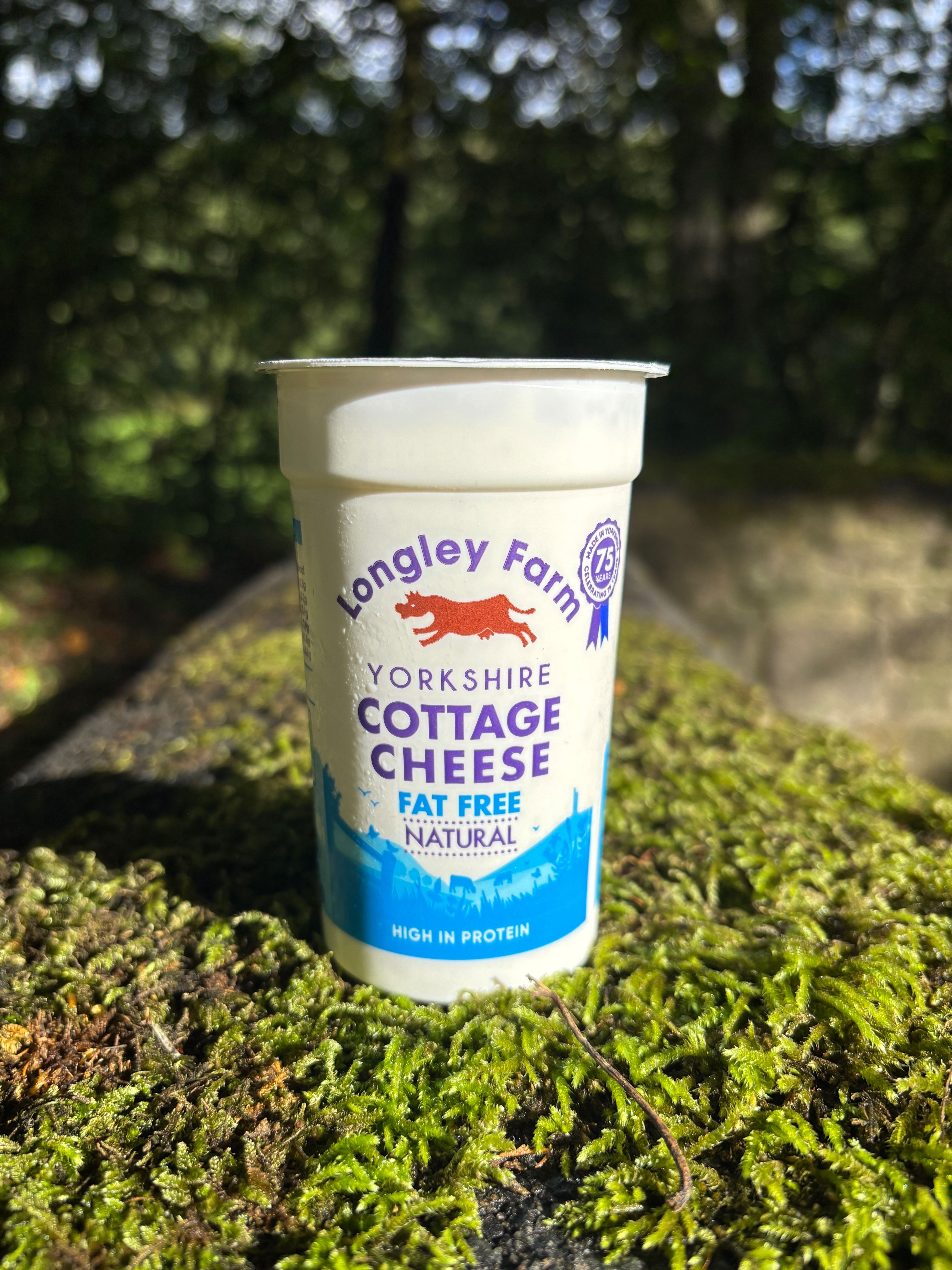 Image of Fat Free Natural Cottage Cheese