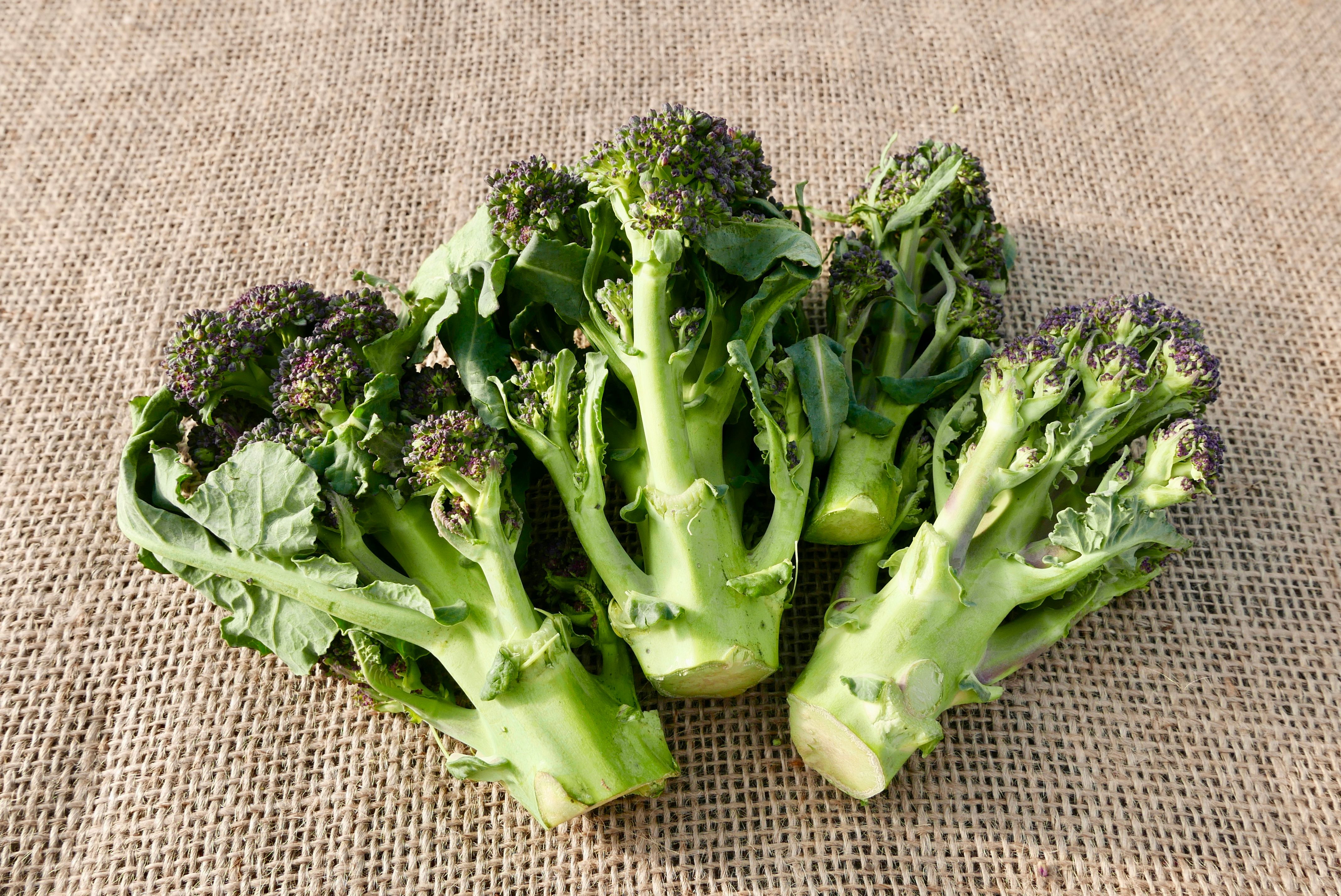 Purple Sprouting Broccoli