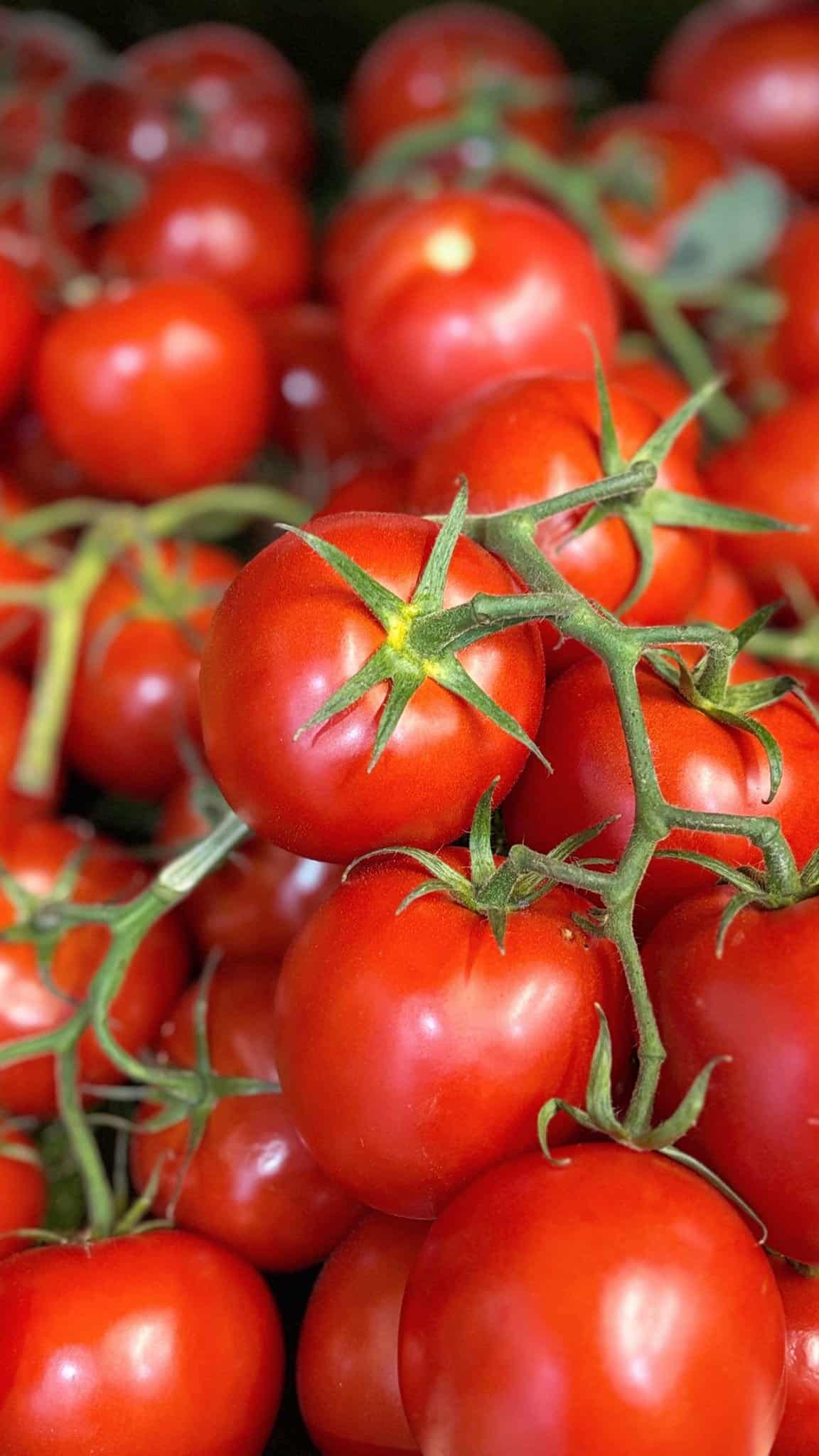 Vine Tomatoes 